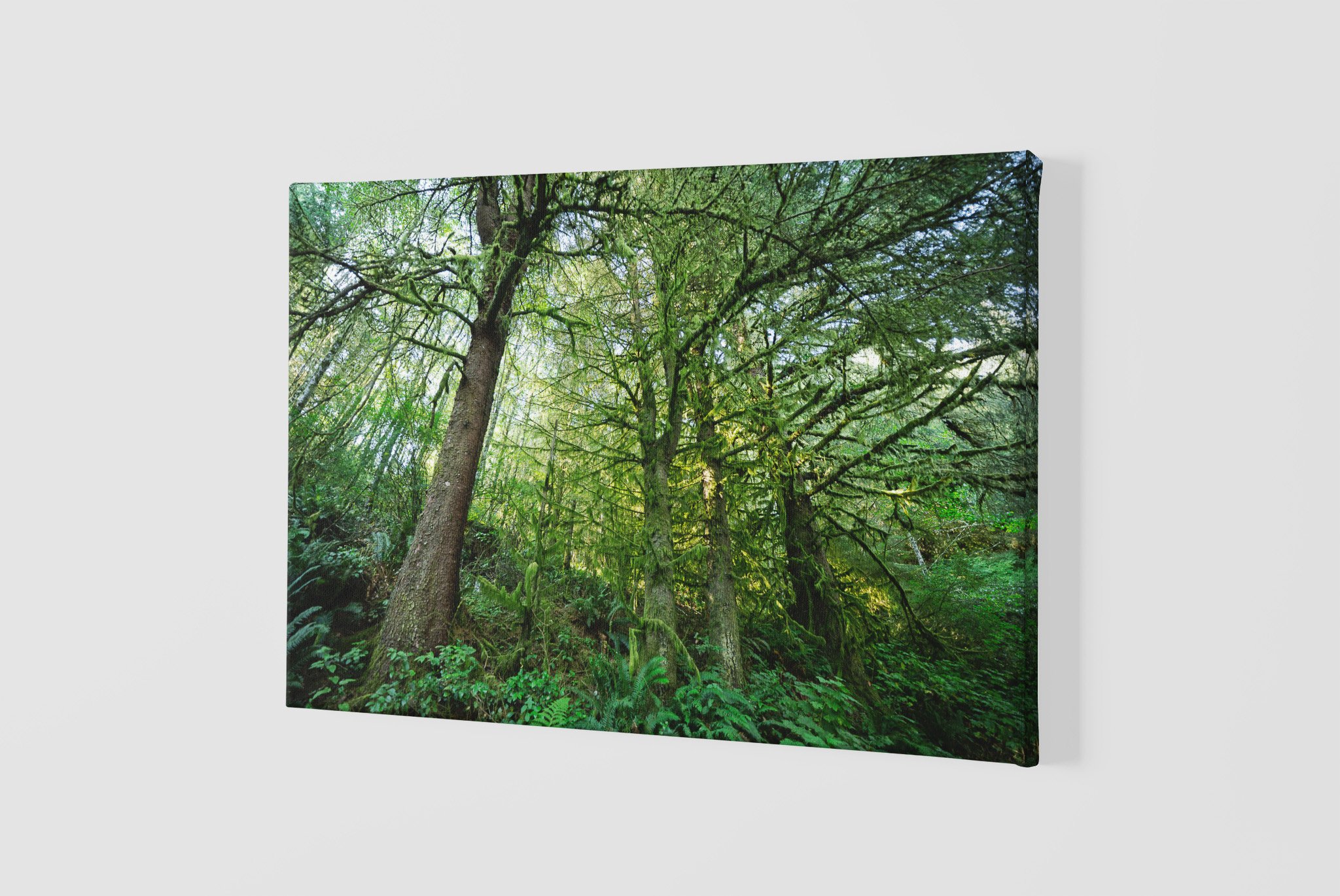 mockup-of-a-slightly-angled-canvas-2515-el1 (42).jpg