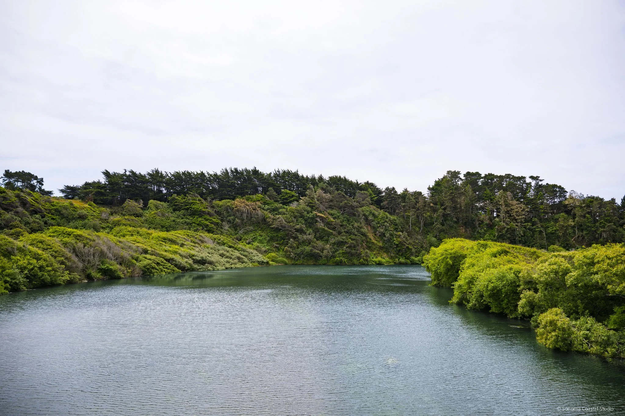 Moody Day on the Gualala River
