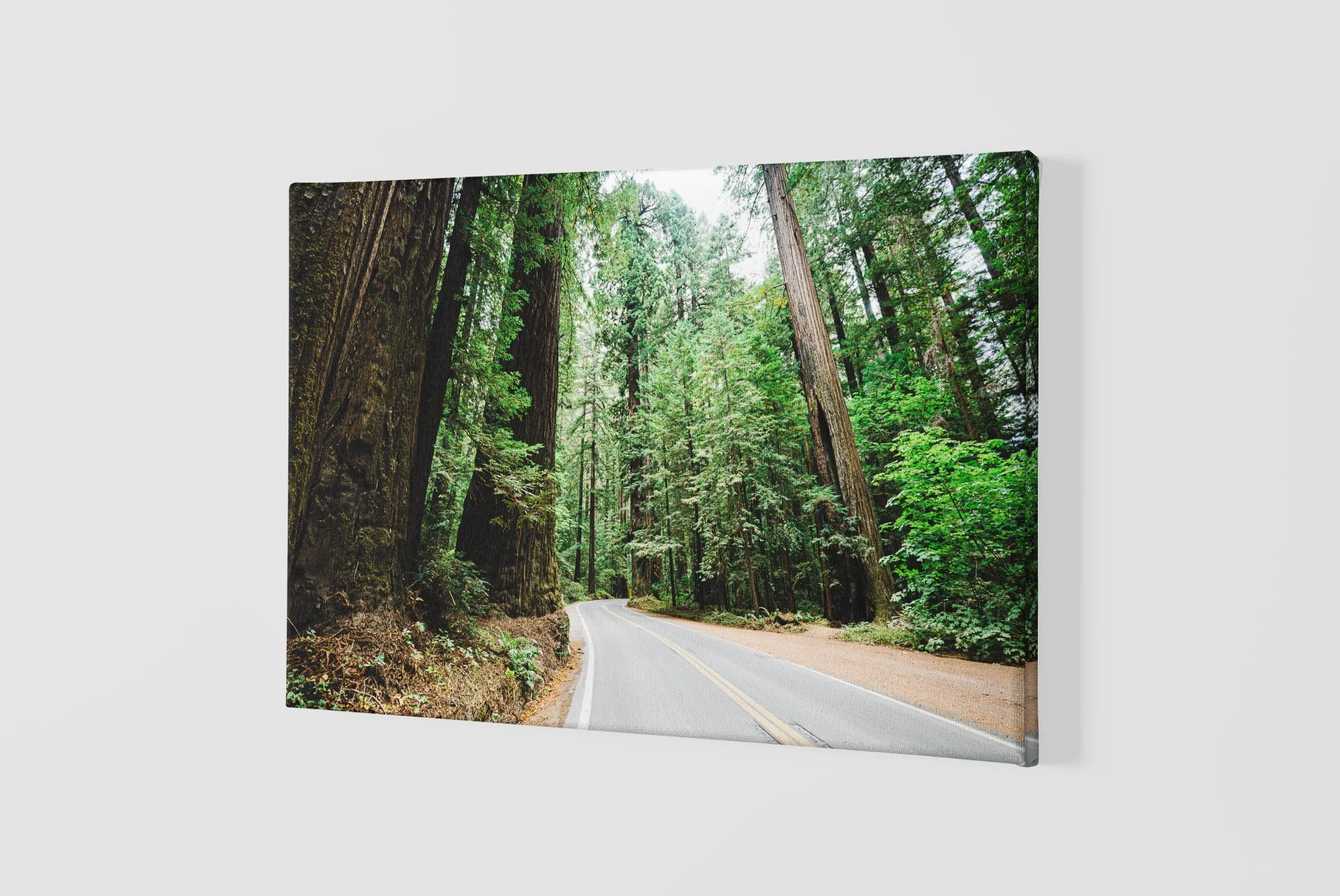 mockup-of-a-slightly-angled-canvas-2515-el1 (82).jpg