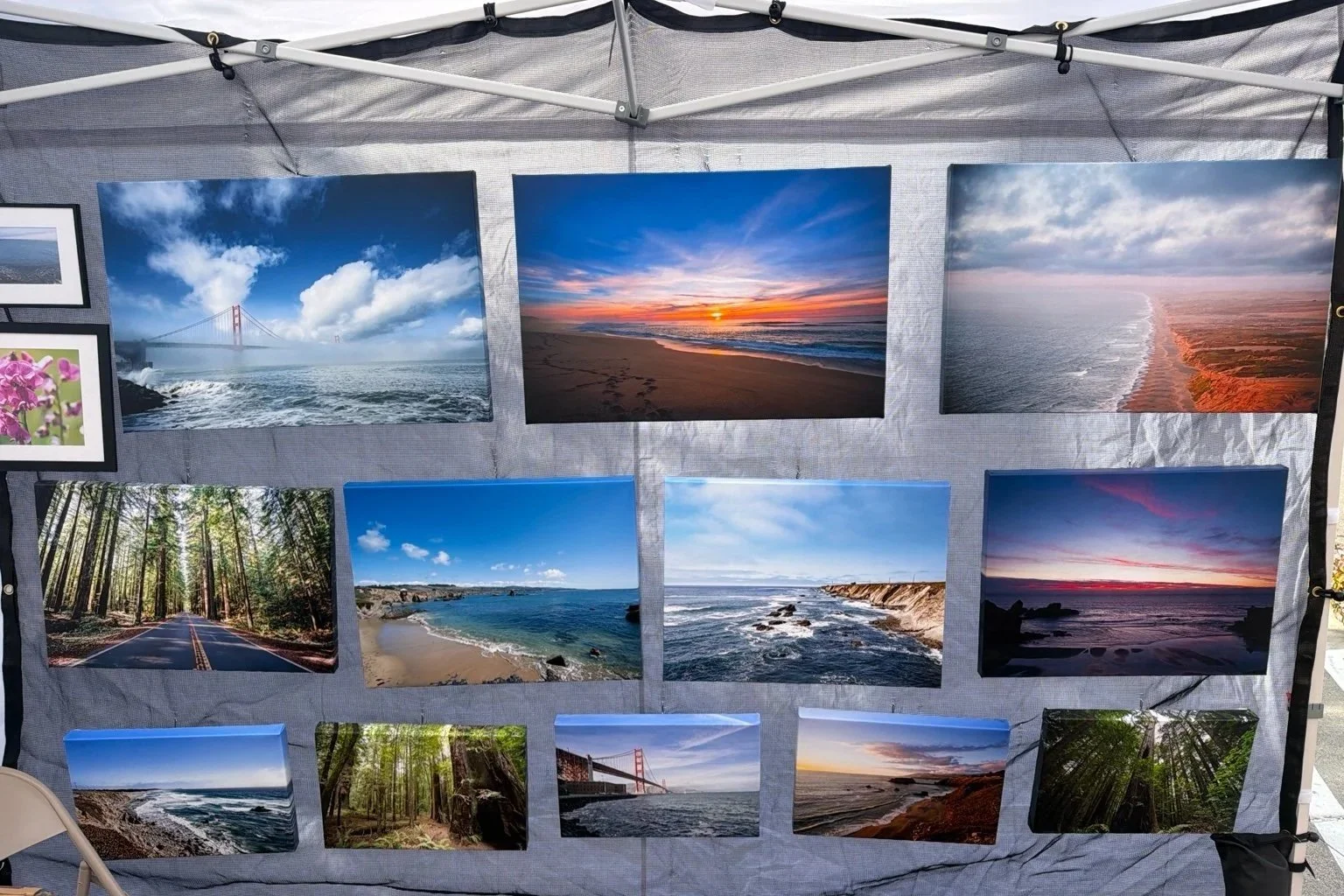 A display of landscape photographs on a grey fabric board featuring oceans, beaches, forests, and sunsets.