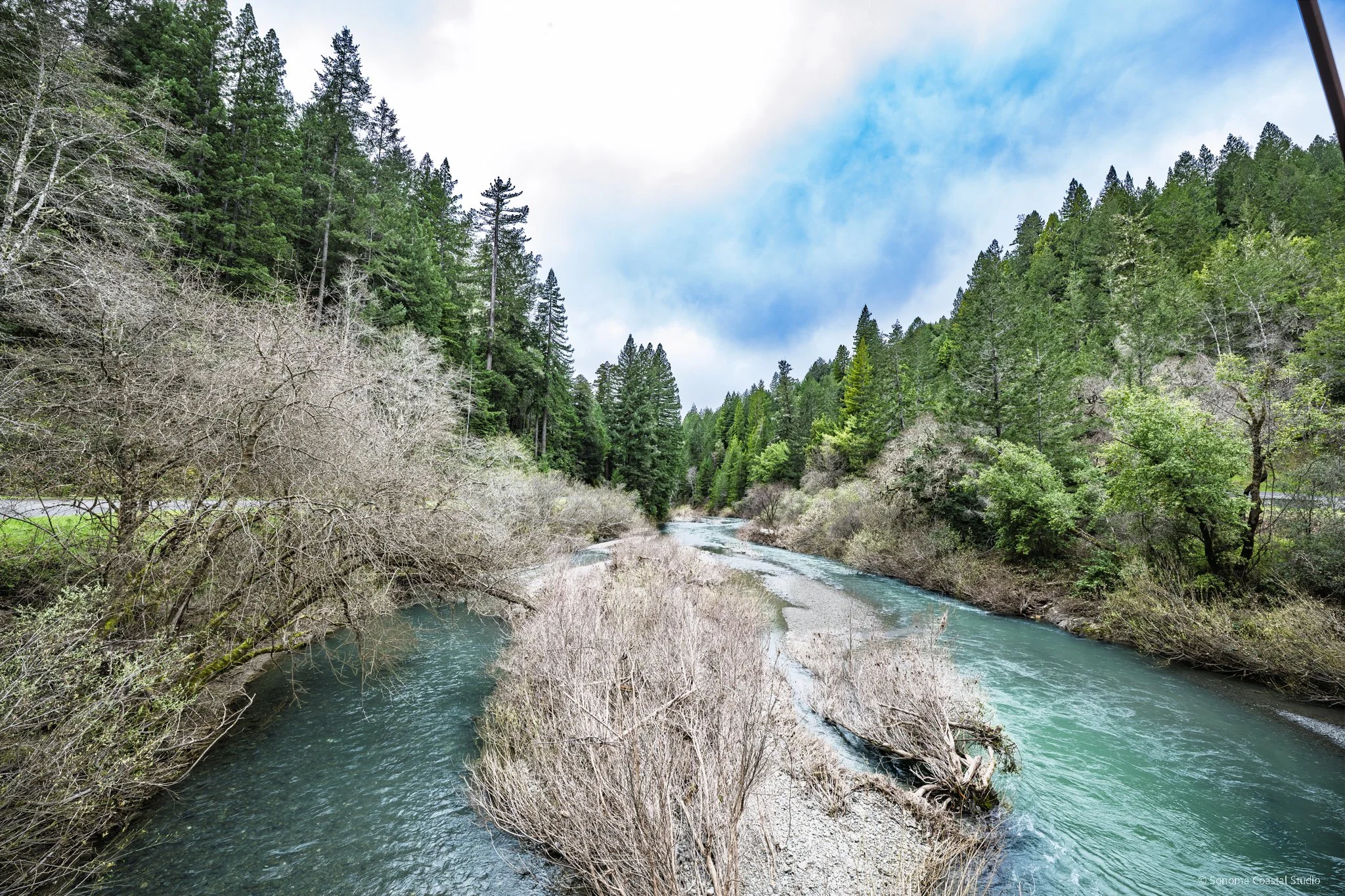 Wheatfield Fork of the Gualala River
