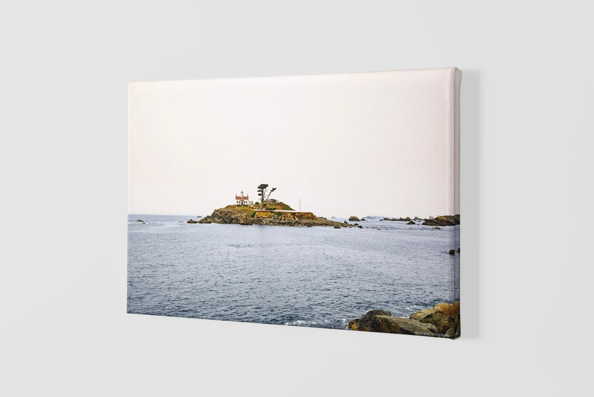 mockup-of-a-slightly-angled-canvas-2515-el1 - 2026-06-03T144045.537.jpg