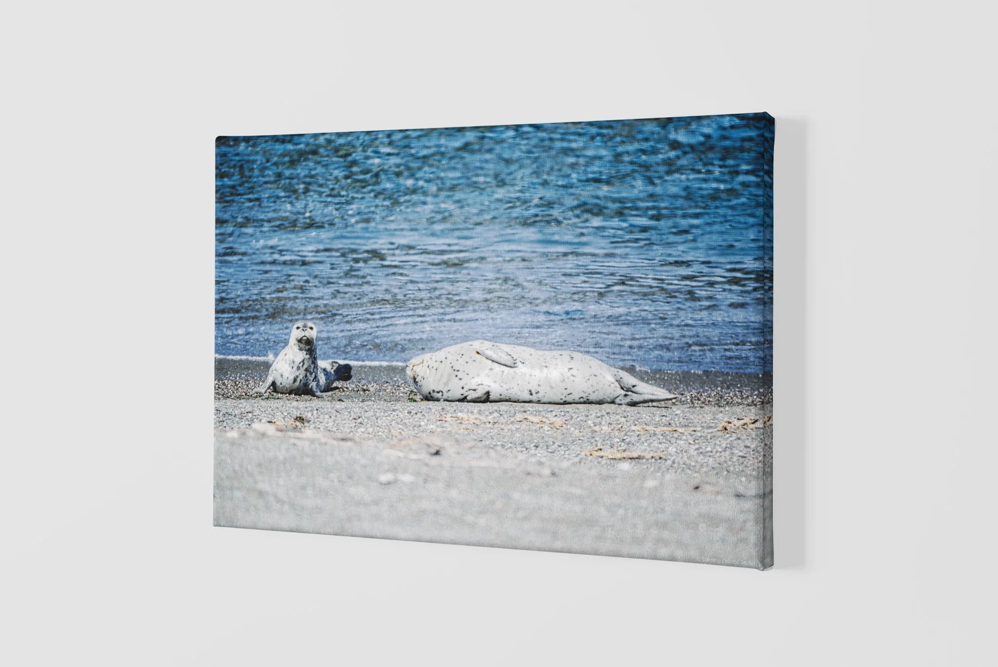 mockup-of-a-slightly-angled-canvas-2515-el1 - 2026-06-03T140026.987.jpg
