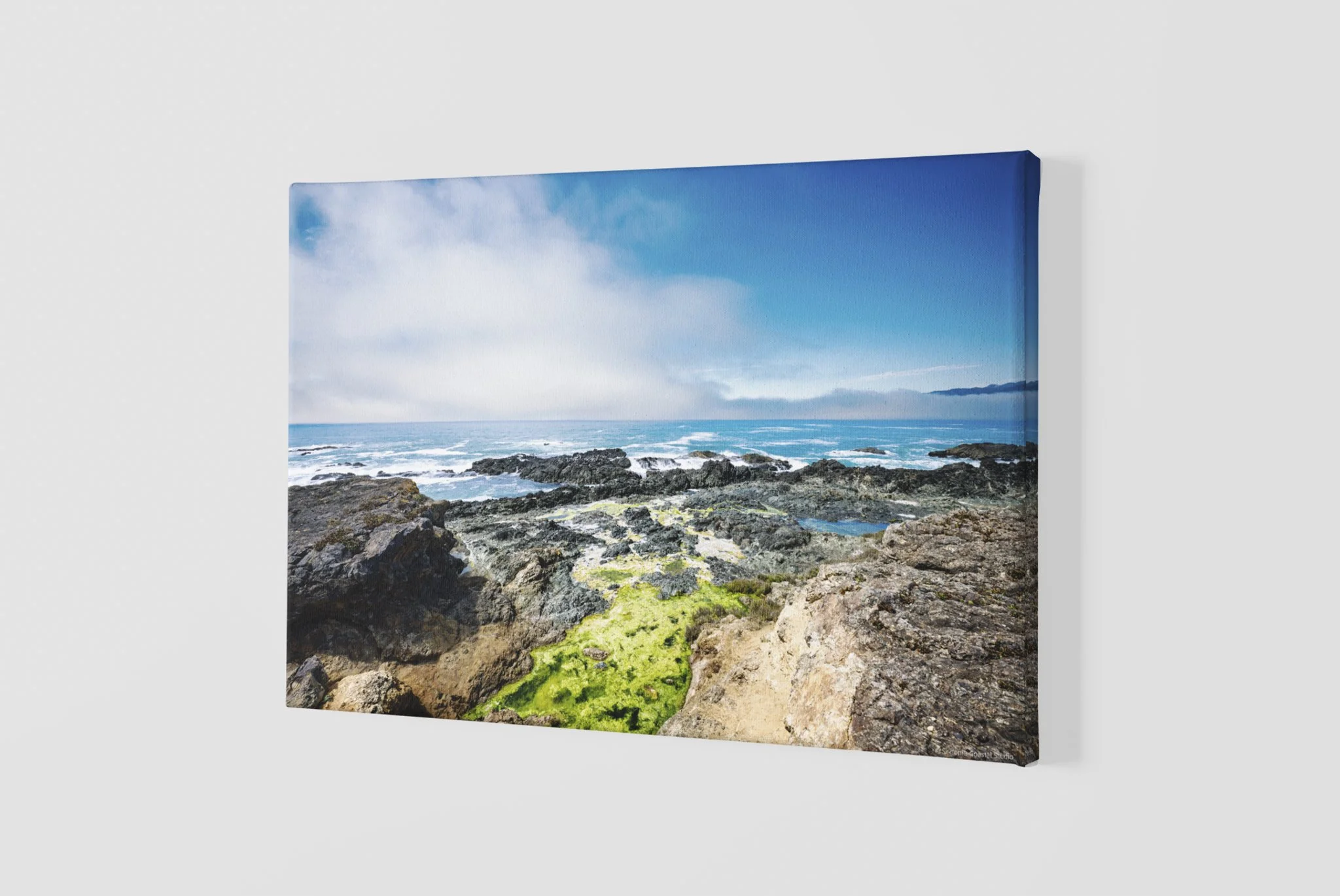 mockup-of-a-slightly-angled-canvas-2515-el1 - 2026-05-31T072111.472.jpg