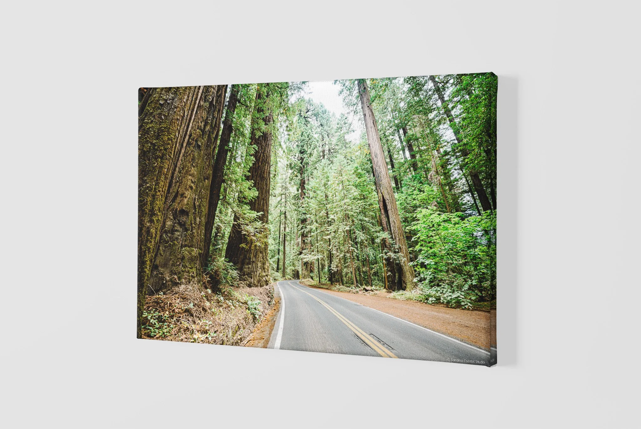 mockup-of-a-slightly-angled-canvas-2515-el1 - 2026-06-03T141716.734.jpg