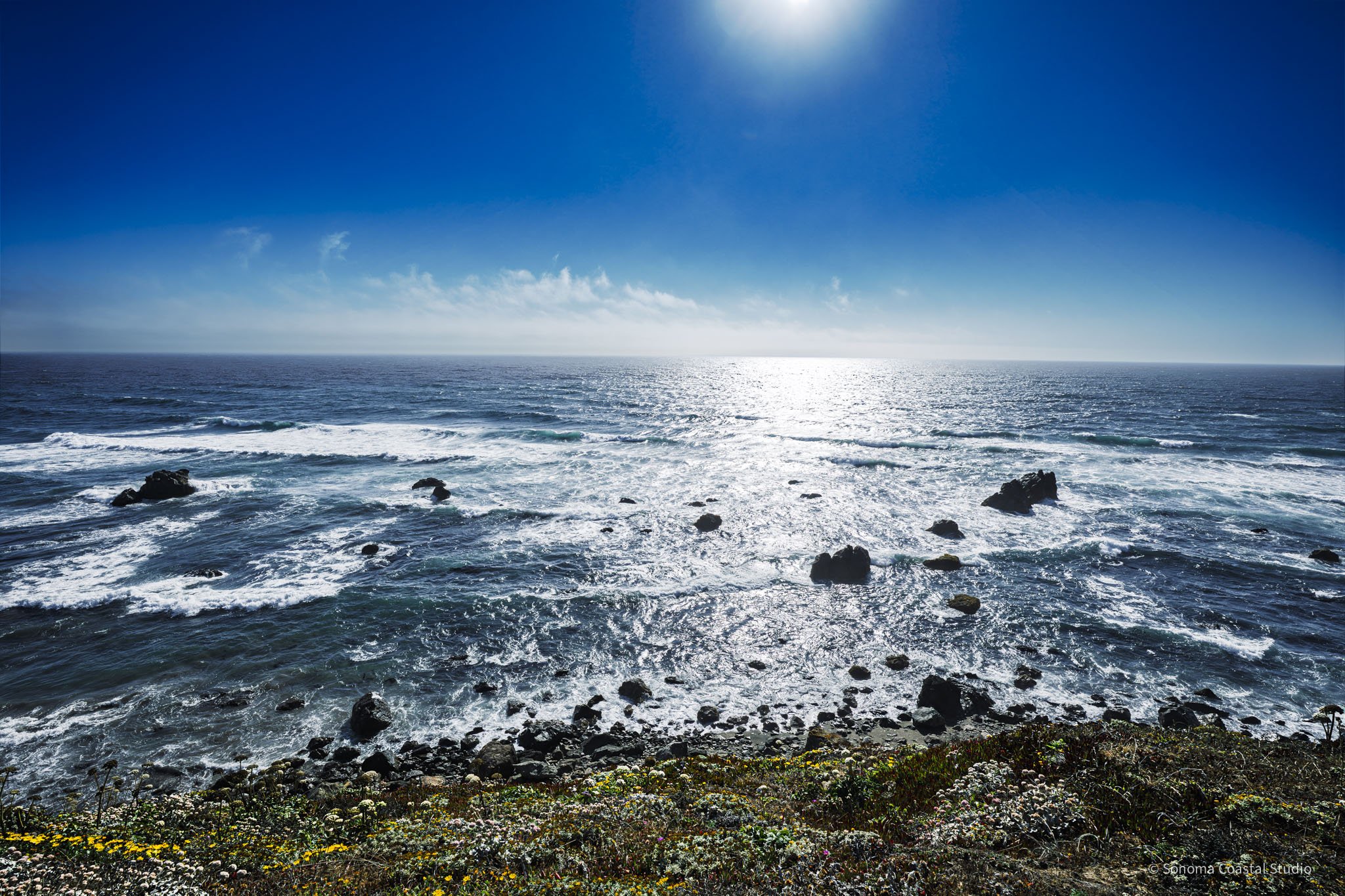 Where the Wild Light Falls