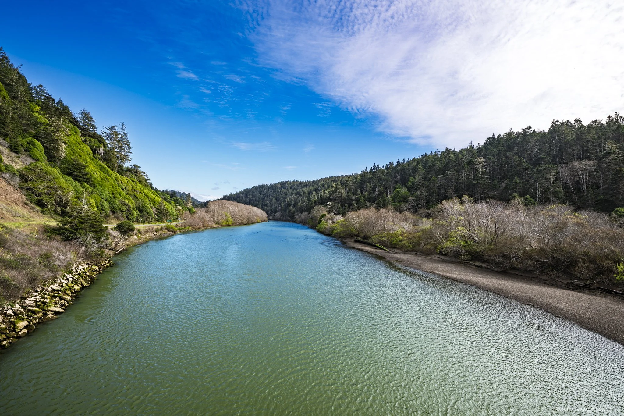 Along the Navarro River-1-2.jpg