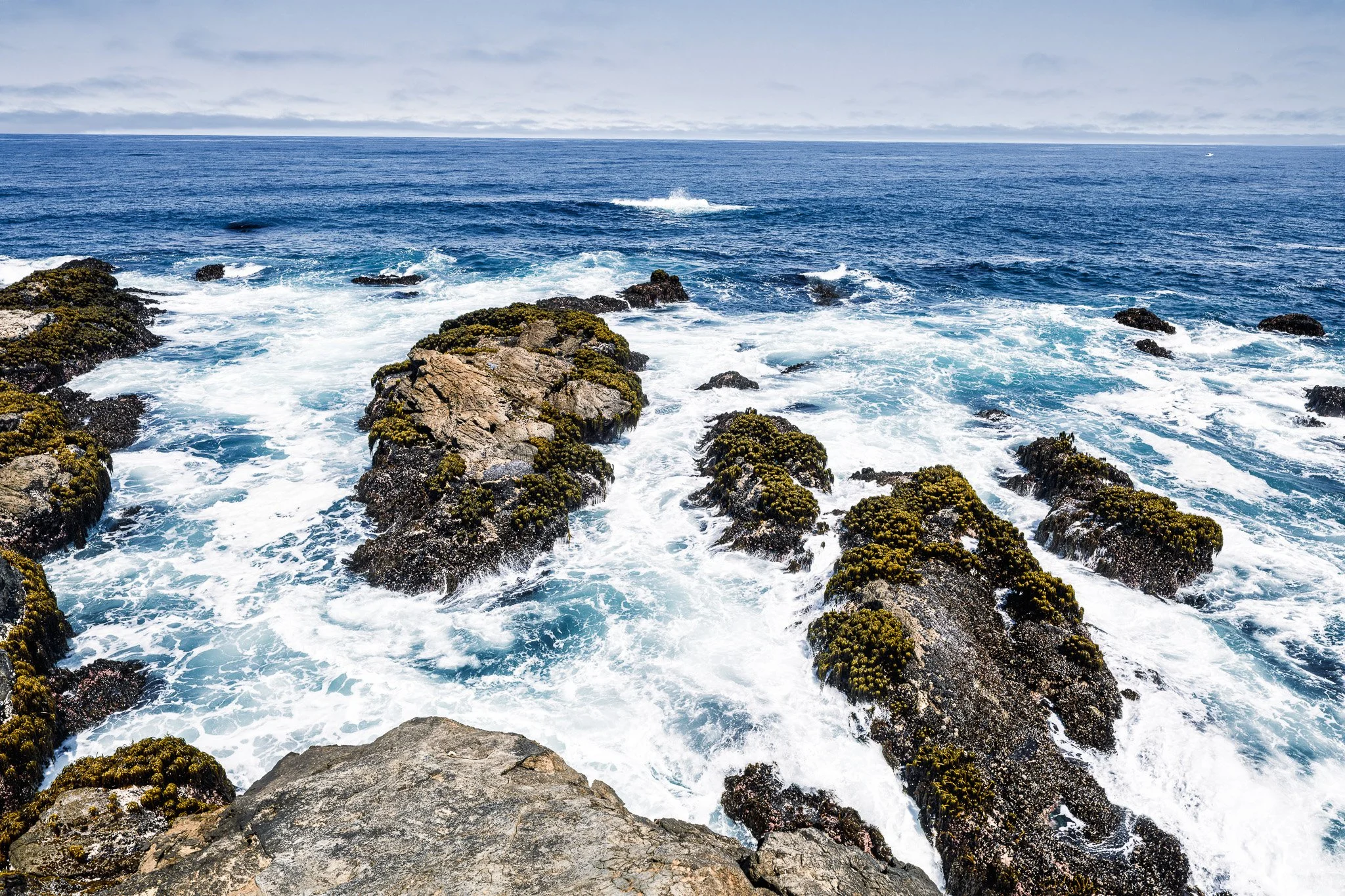 Pacific Surge – Mendocino
