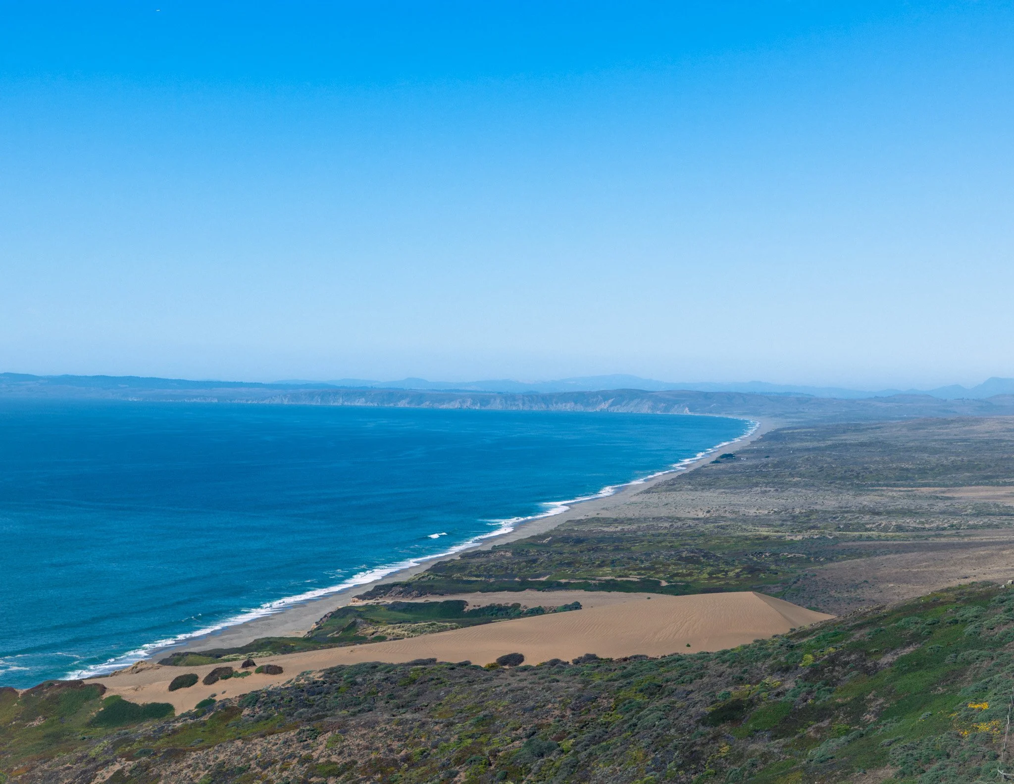 Dunes of Point Reyes