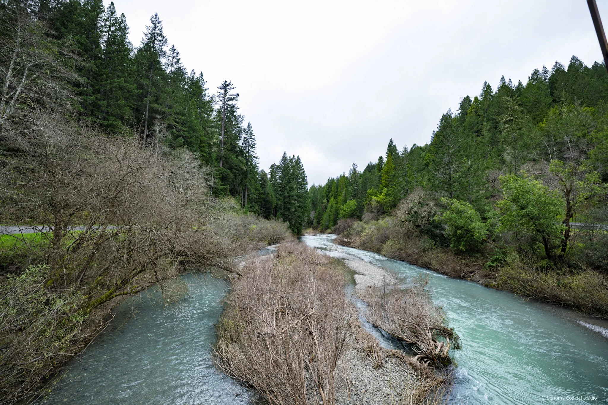 Wheatfield Fork of the Gualala River
