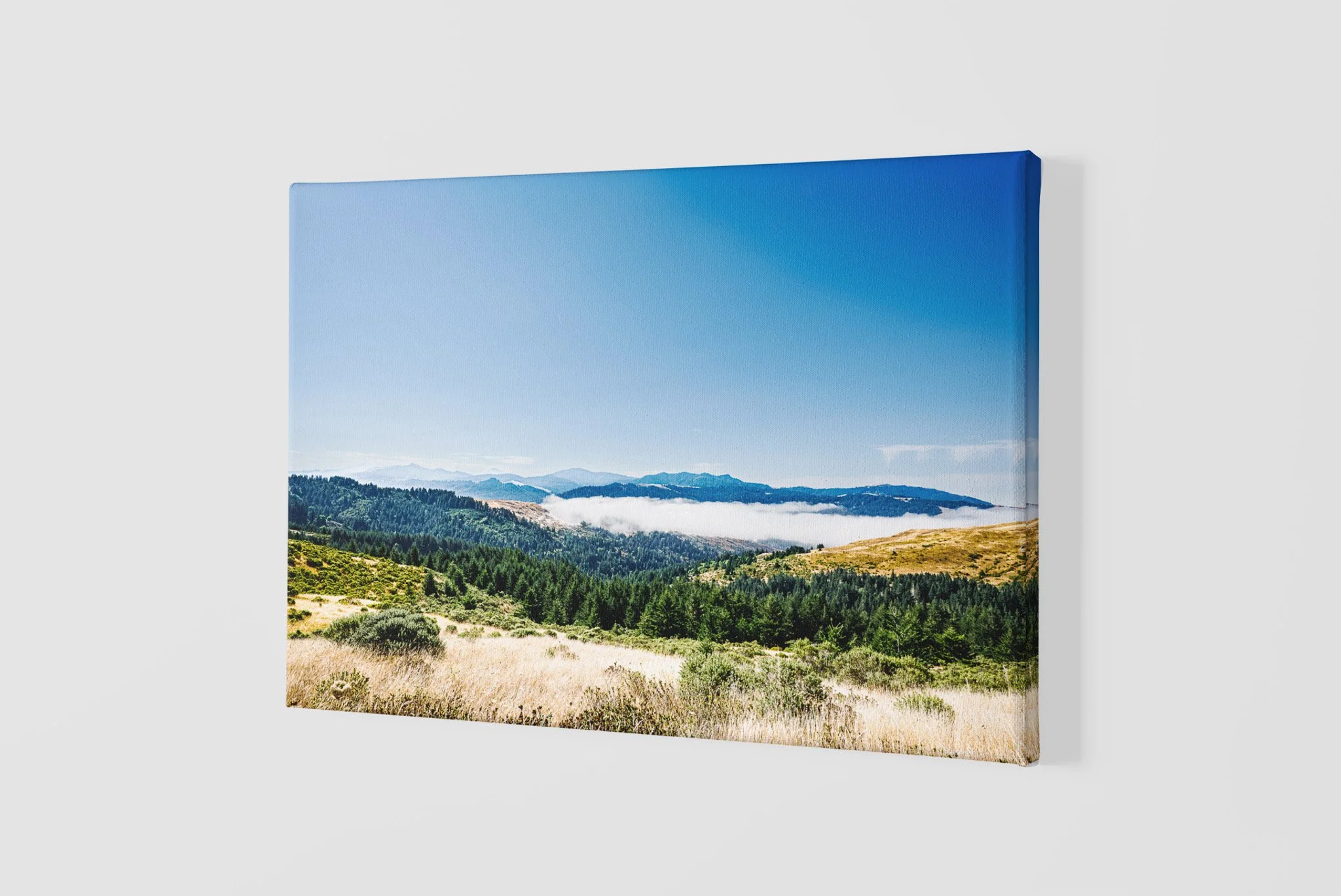 mockup-of-a-slightly-angled-canvas-2515-el1 - 2026-06-03T103516.799.jpg
