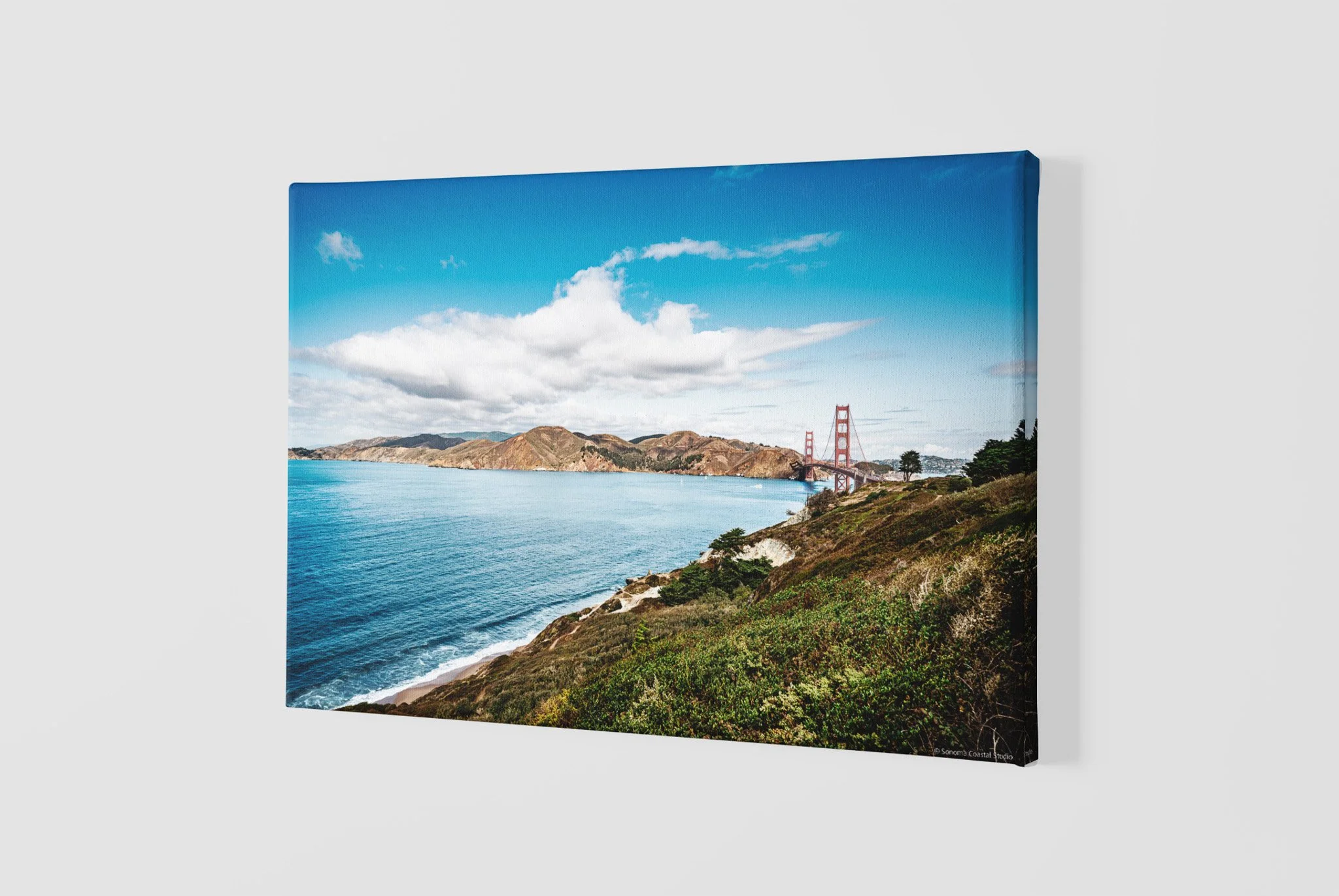 mockup-of-a-slightly-angled-canvas-2515-el1 - 2026-06-02T204313.129.jpg