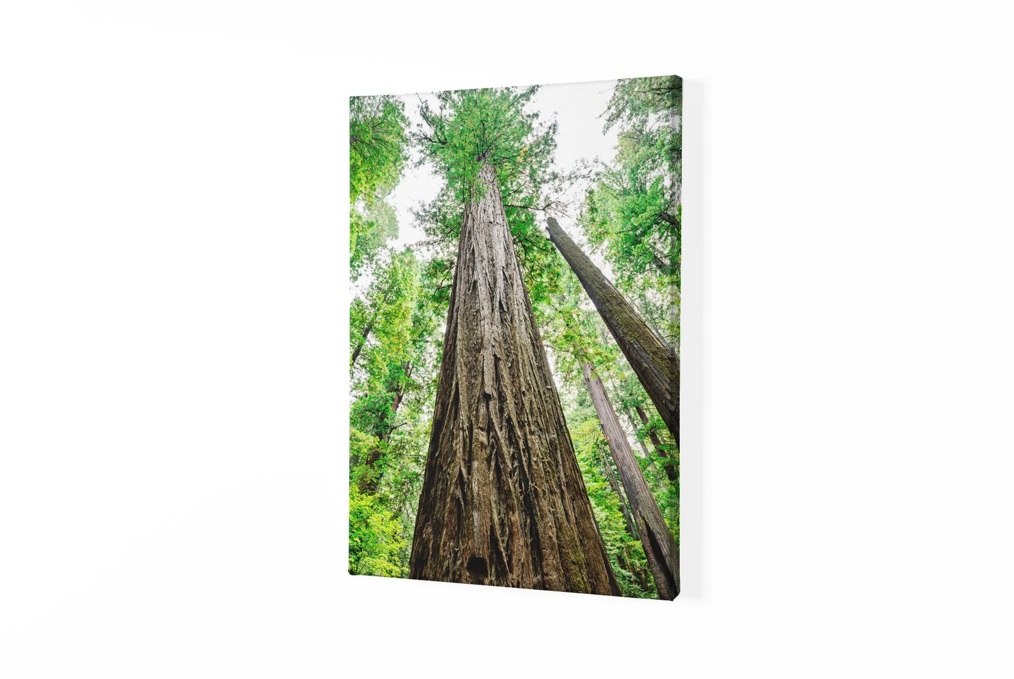 canvas-mockup-with-a-customizable-background-2513-el1 (7).jpg