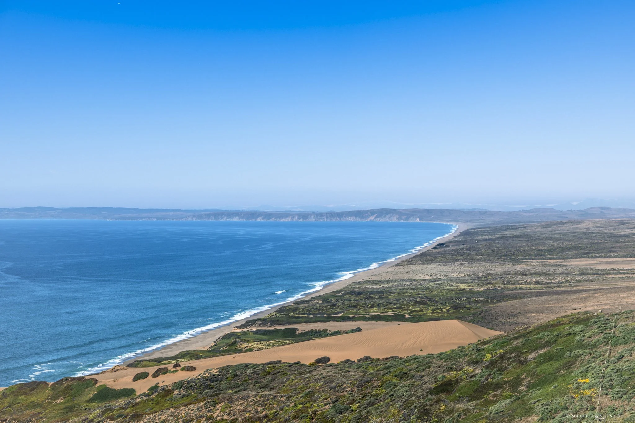 Dunes of Point Reyes