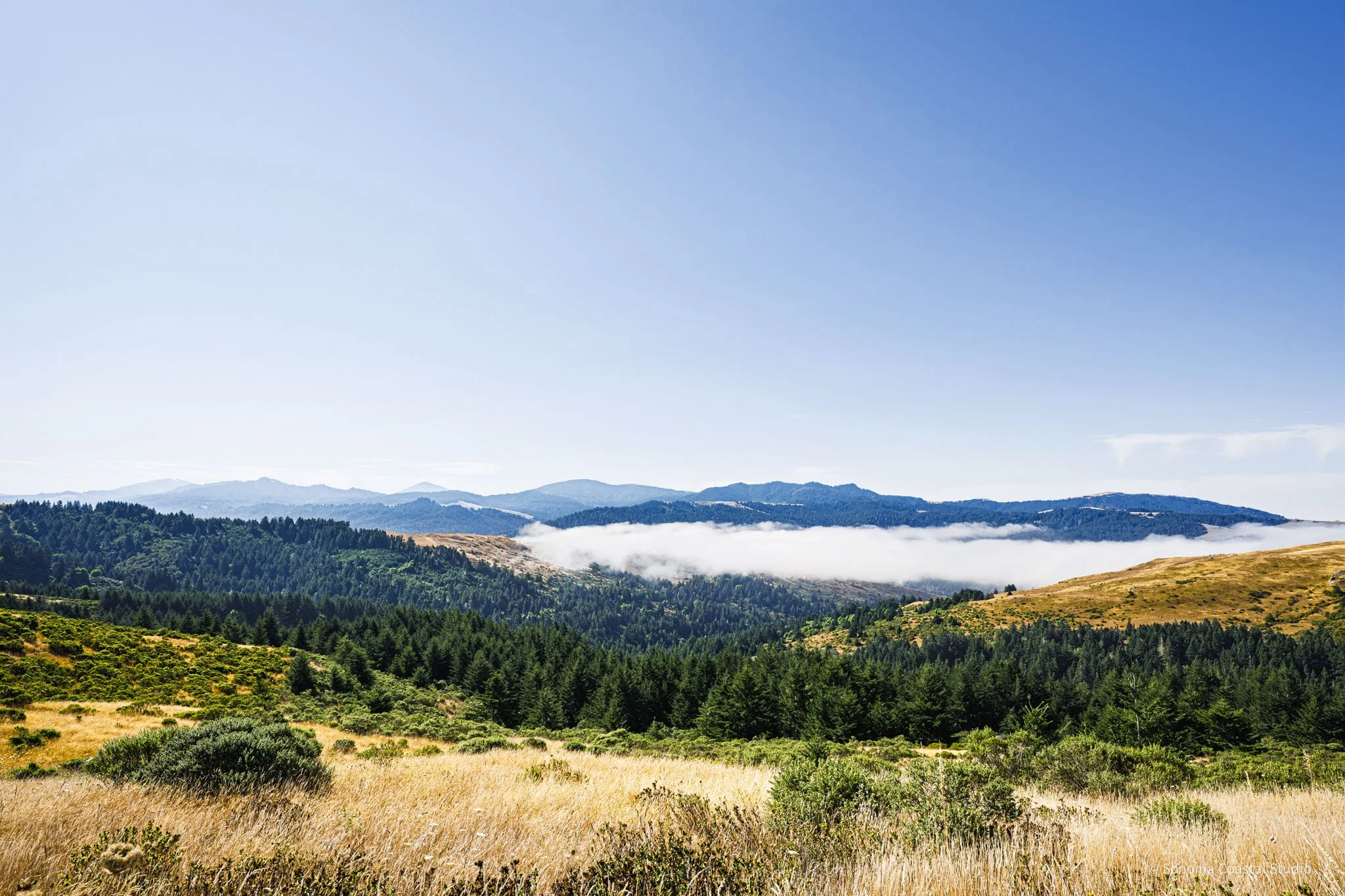 Misty Horizons