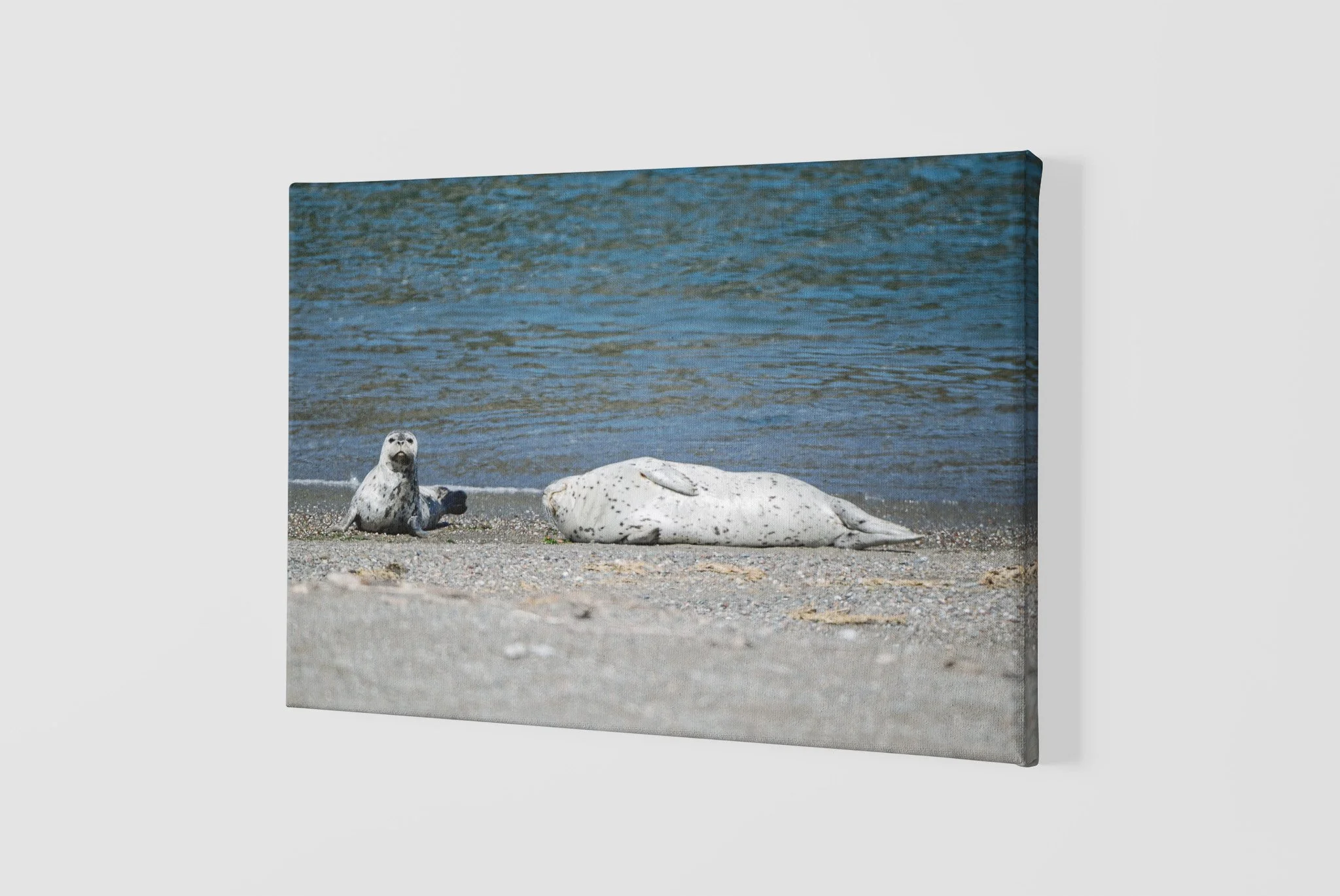 mockup-of-a-slightly-angled-canvas-2515-el1 (43).jpg