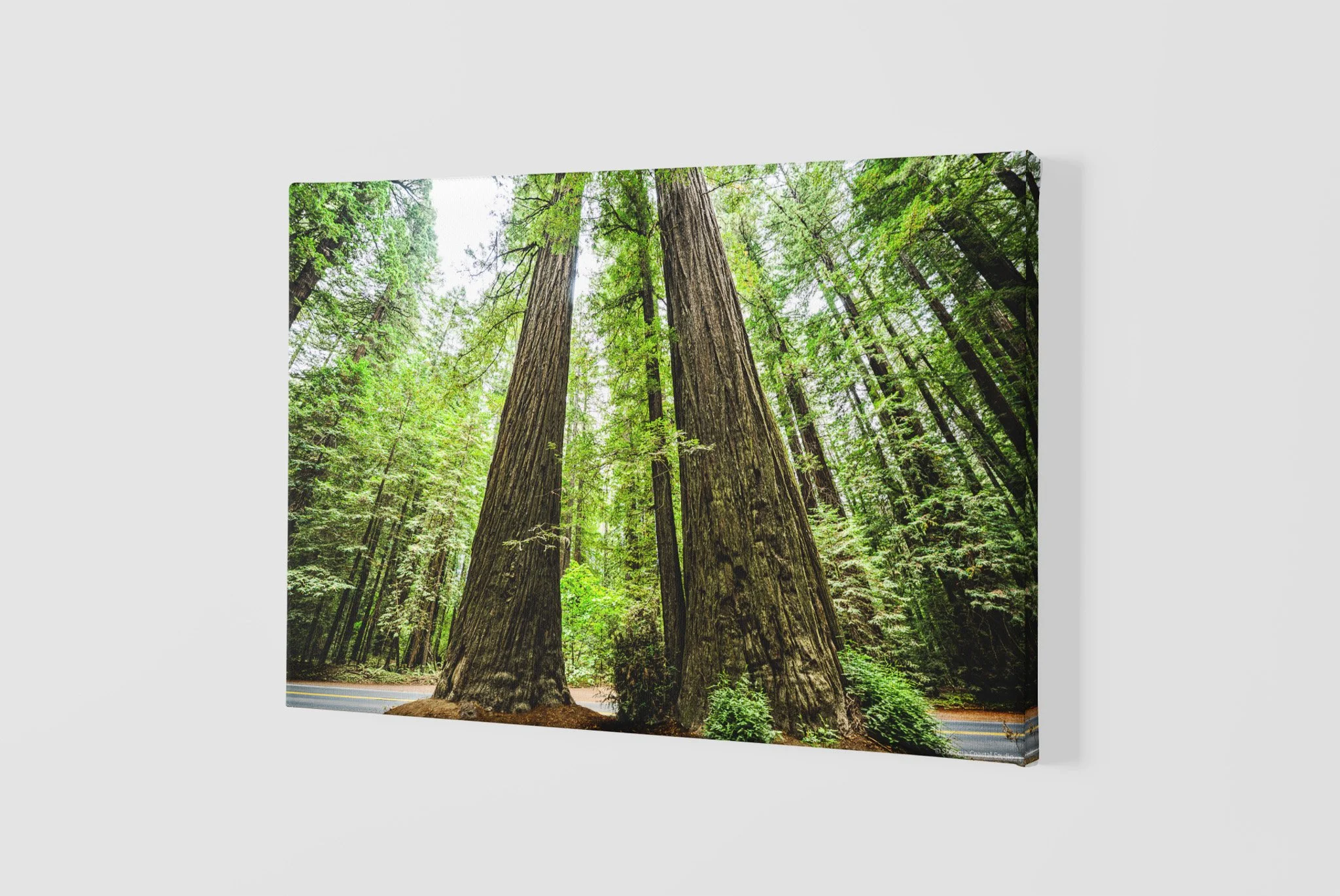 mockup-of-a-slightly-angled-canvas-2515-el1 - 2026-06-02T211303.119.jpg