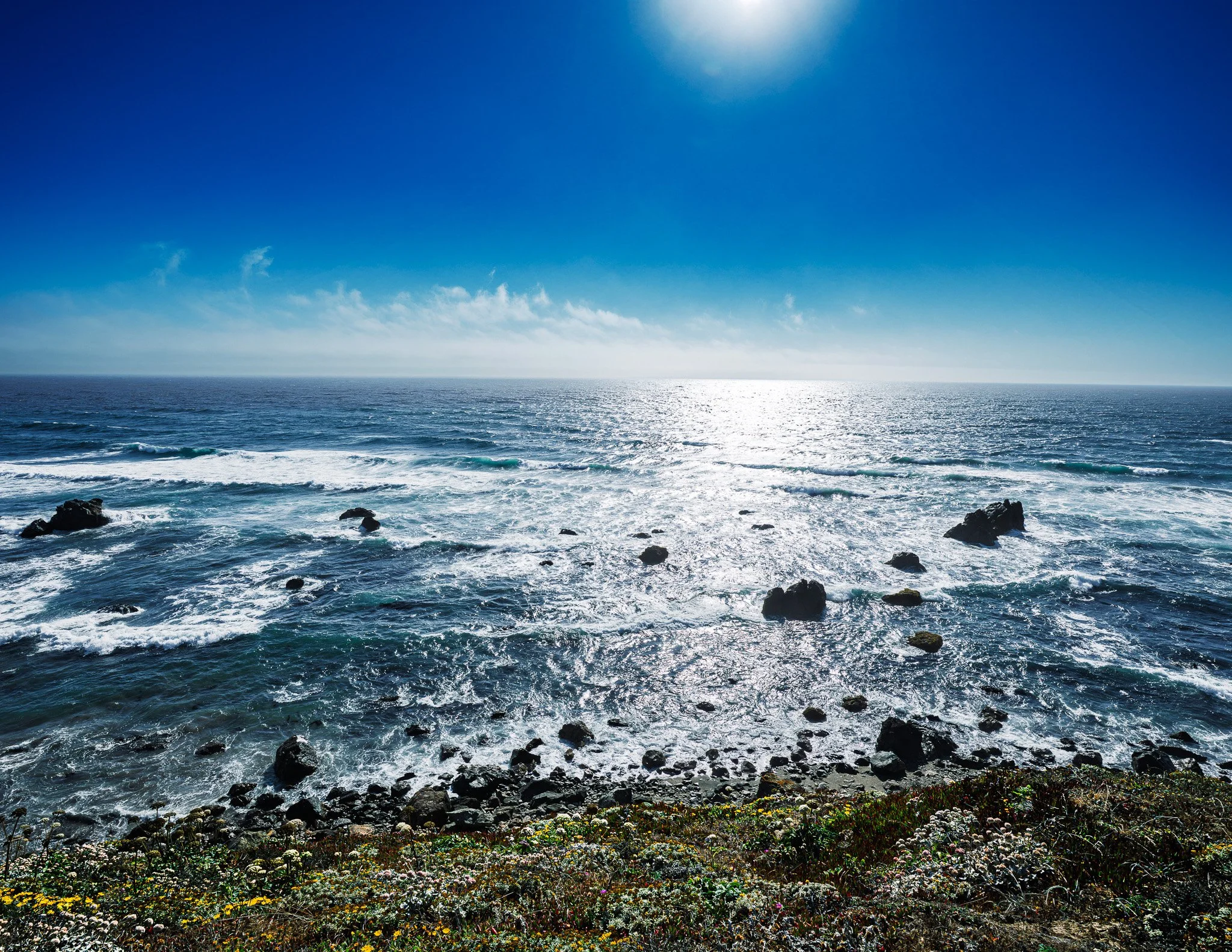 Where the Wild Light Falls