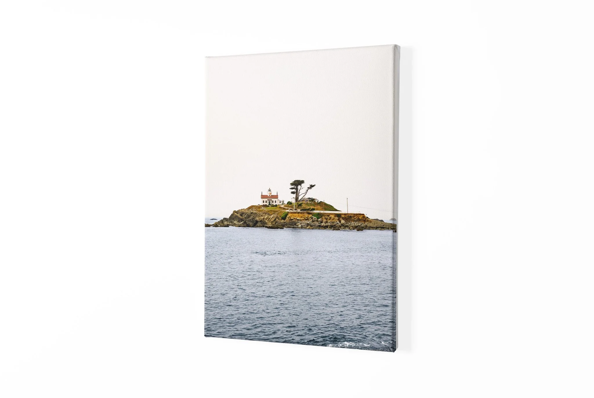 canvas-mockup-with-a-customizable-background-2513-el1.jpg