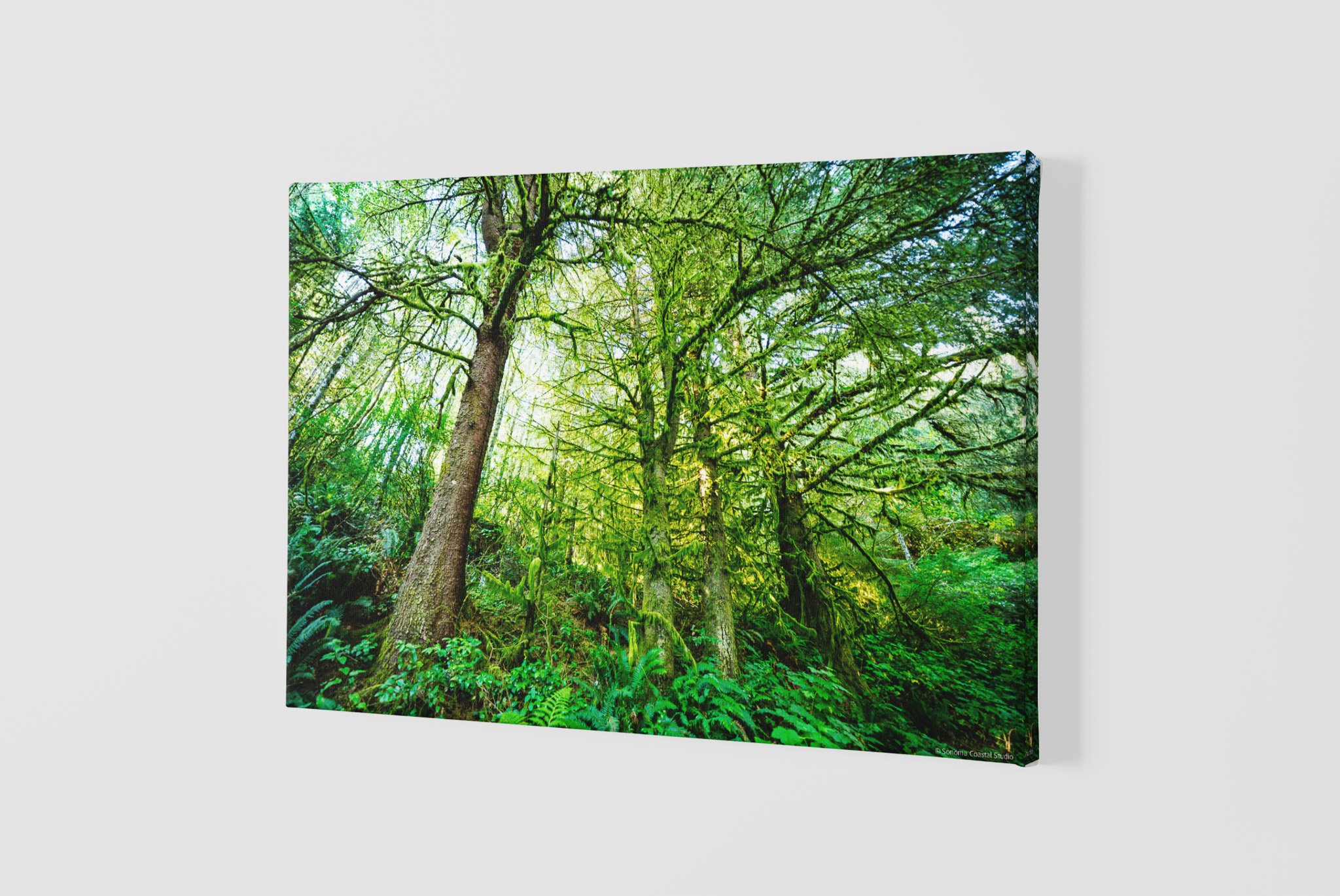 mockup-of-a-slightly-angled-canvas-2515-el1 - 2026-06-02T225743.870.jpg