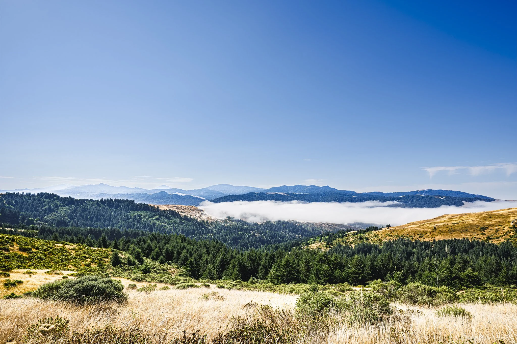 Misty Horizons-1.jpg
