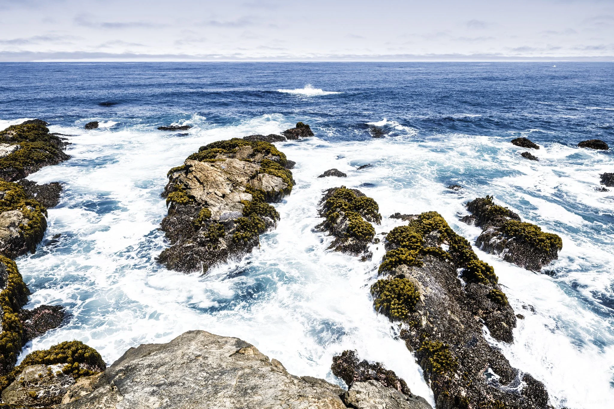 Pacific Surge – Mendocino