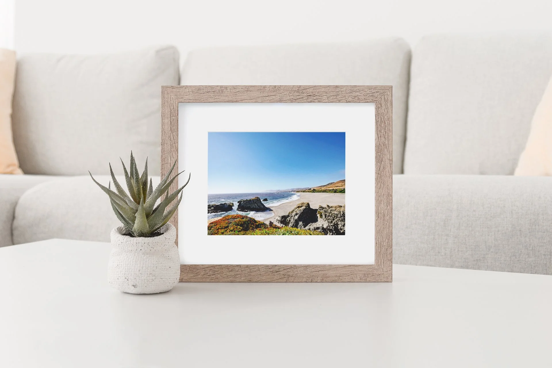 A framed landscape photograph of a beach with rocks, green hills, and blue sky on a white table next to a potted succulent plant in a white textured pot, in a room with beige sofas in the background.