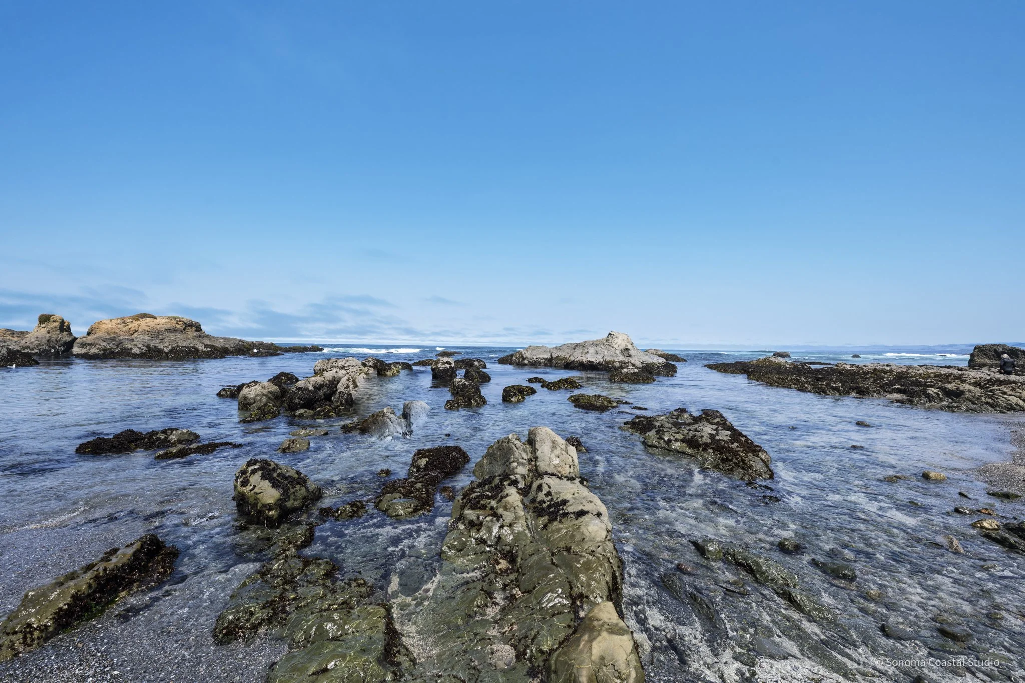 Tidepool Pathways