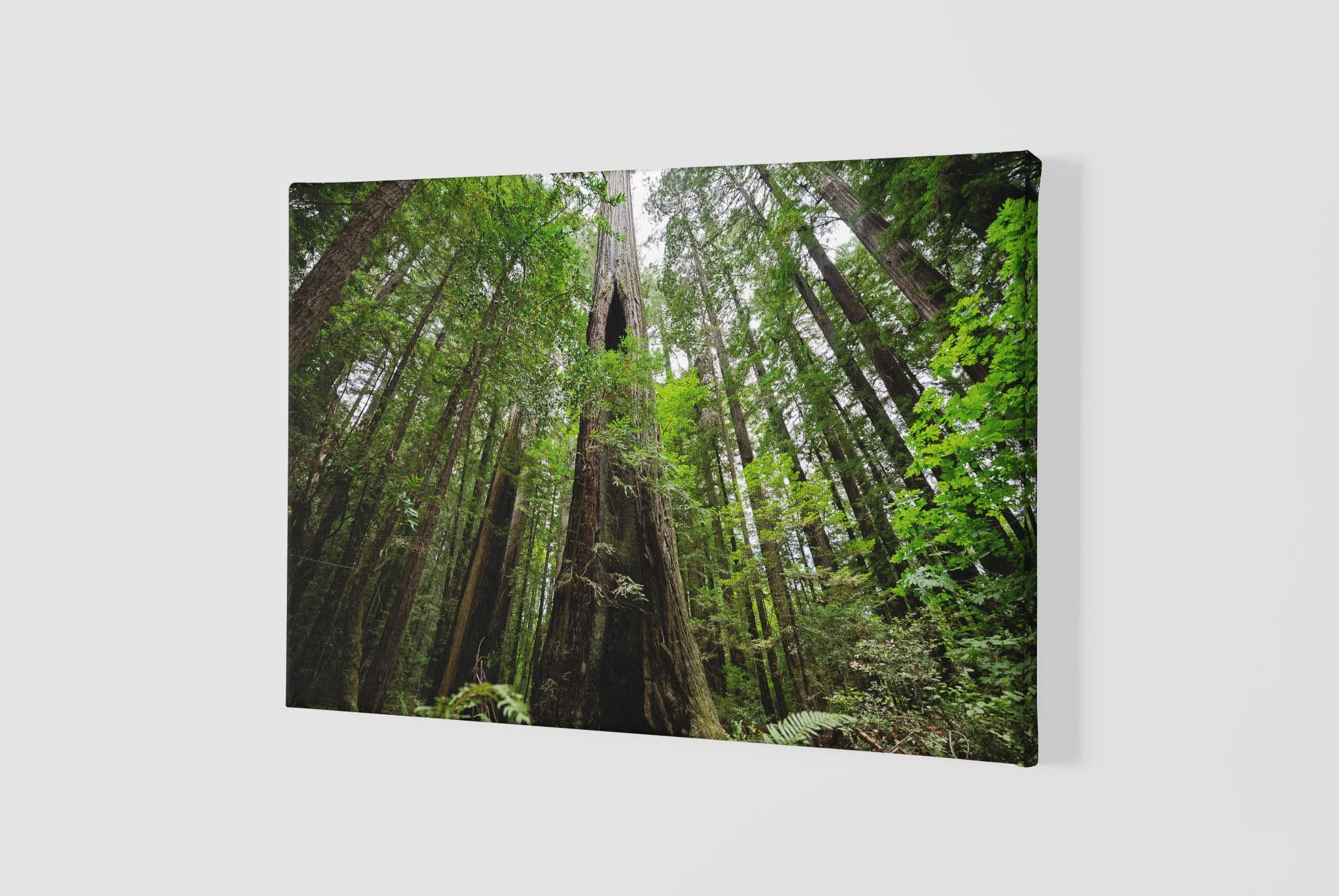 mockup-of-a-slightly-angled-canvas-2515-el1 (9).jpg