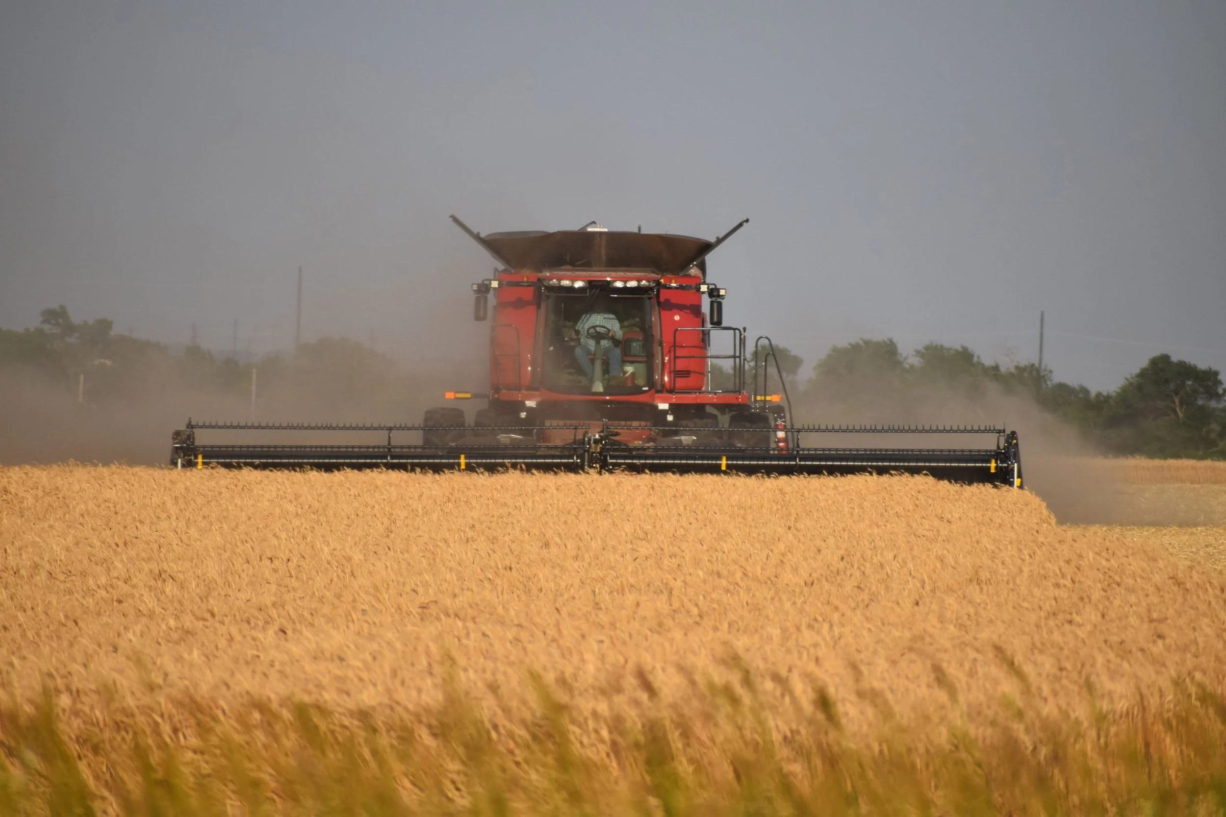A red combine harvester working in a wheat field on a clear day.