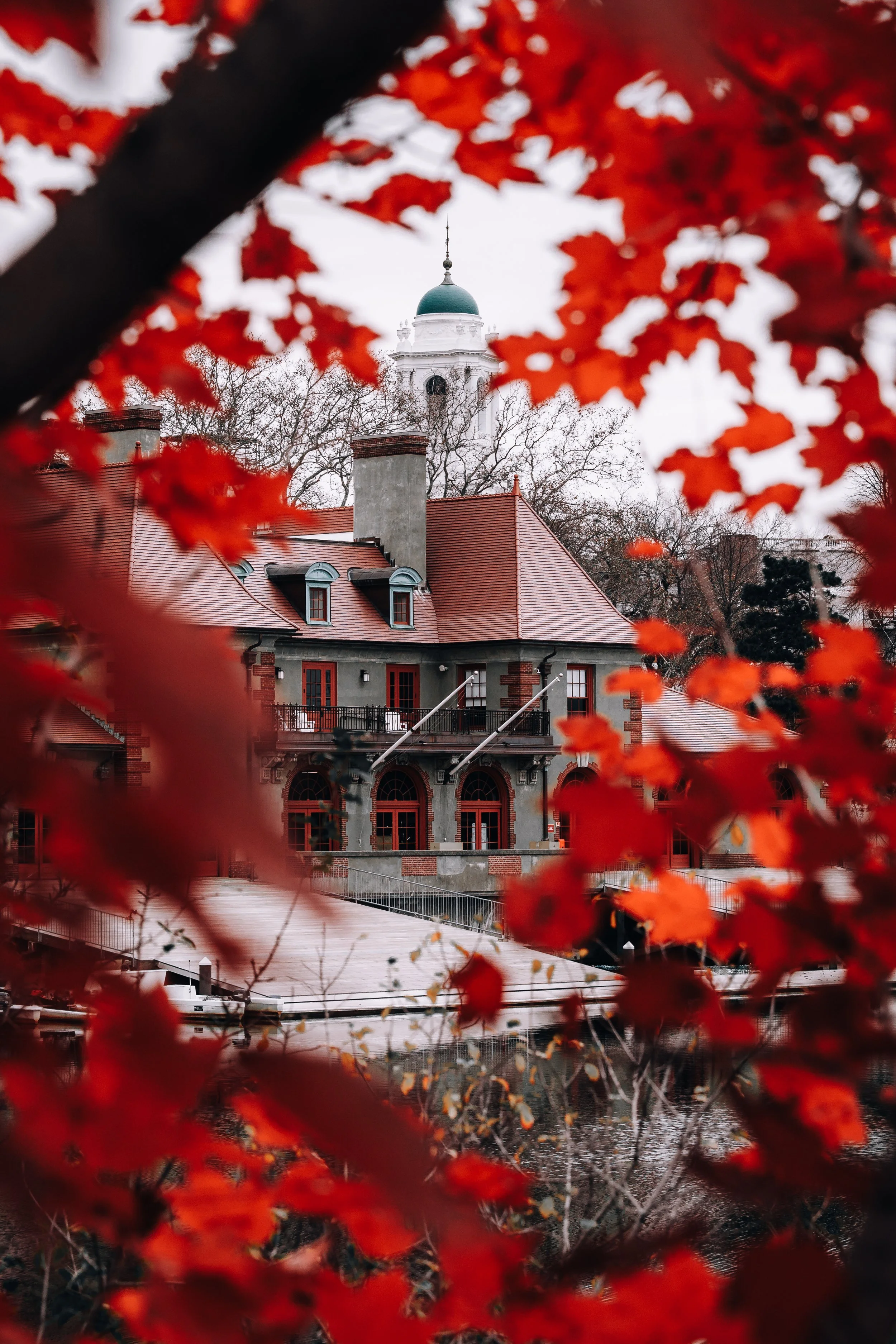 A house with a red roof and multiple chimneys, framed by red autumn leaves, and a white tower with a green dome in the background.