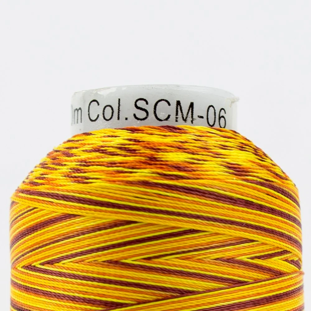 SCM06-2.jpg