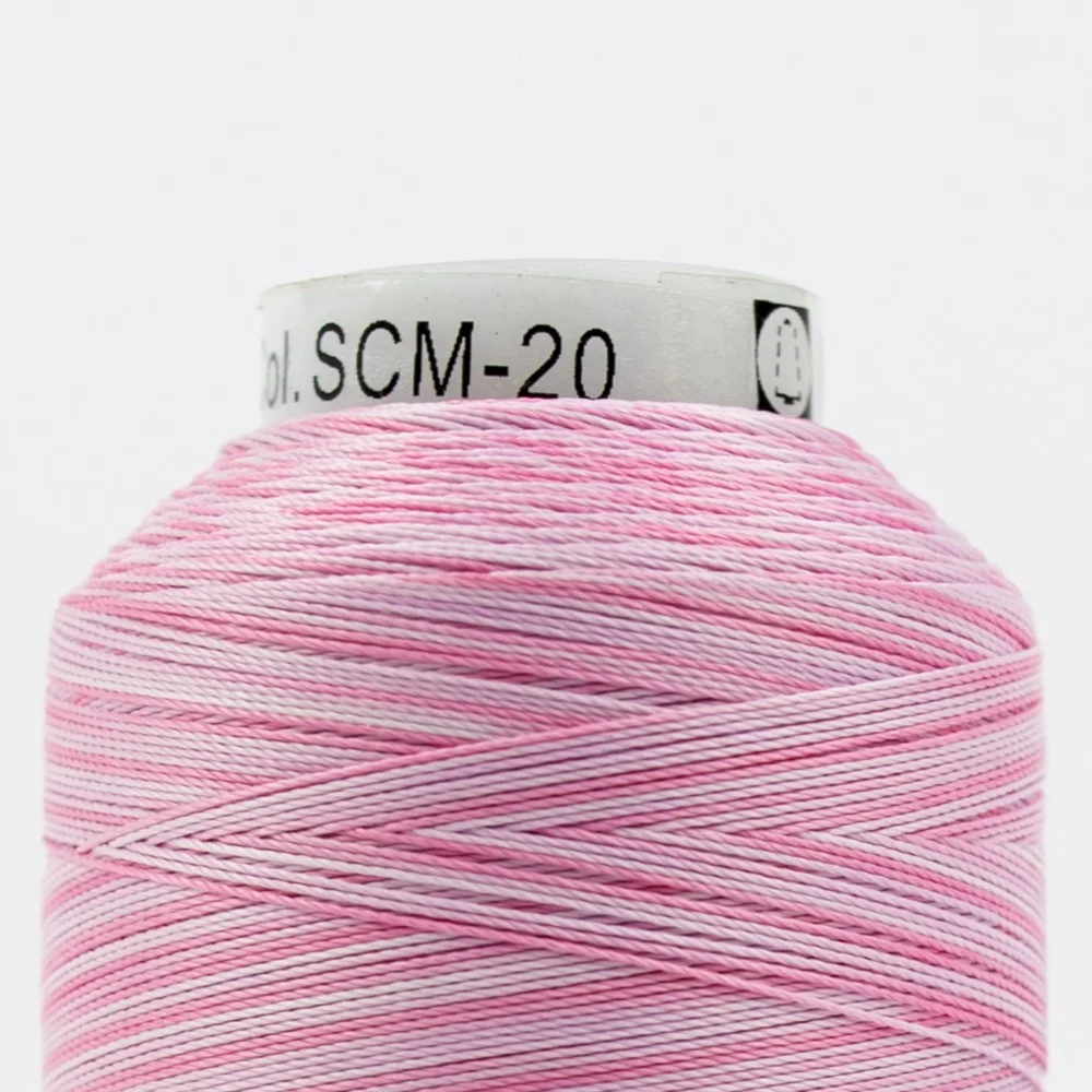 SCM20-2.jpg