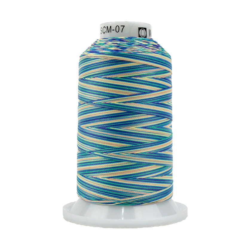 SCM-07.png