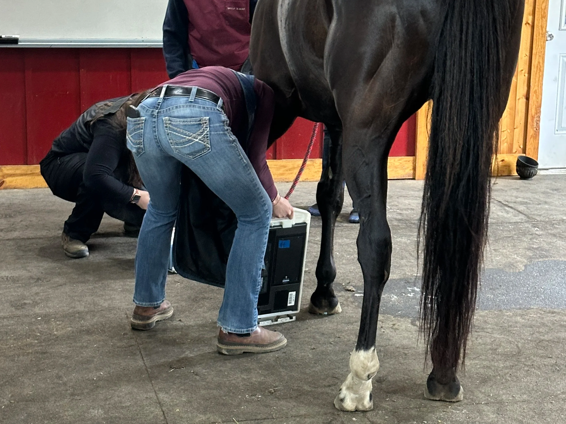 On-site farm vet/farrier appointment