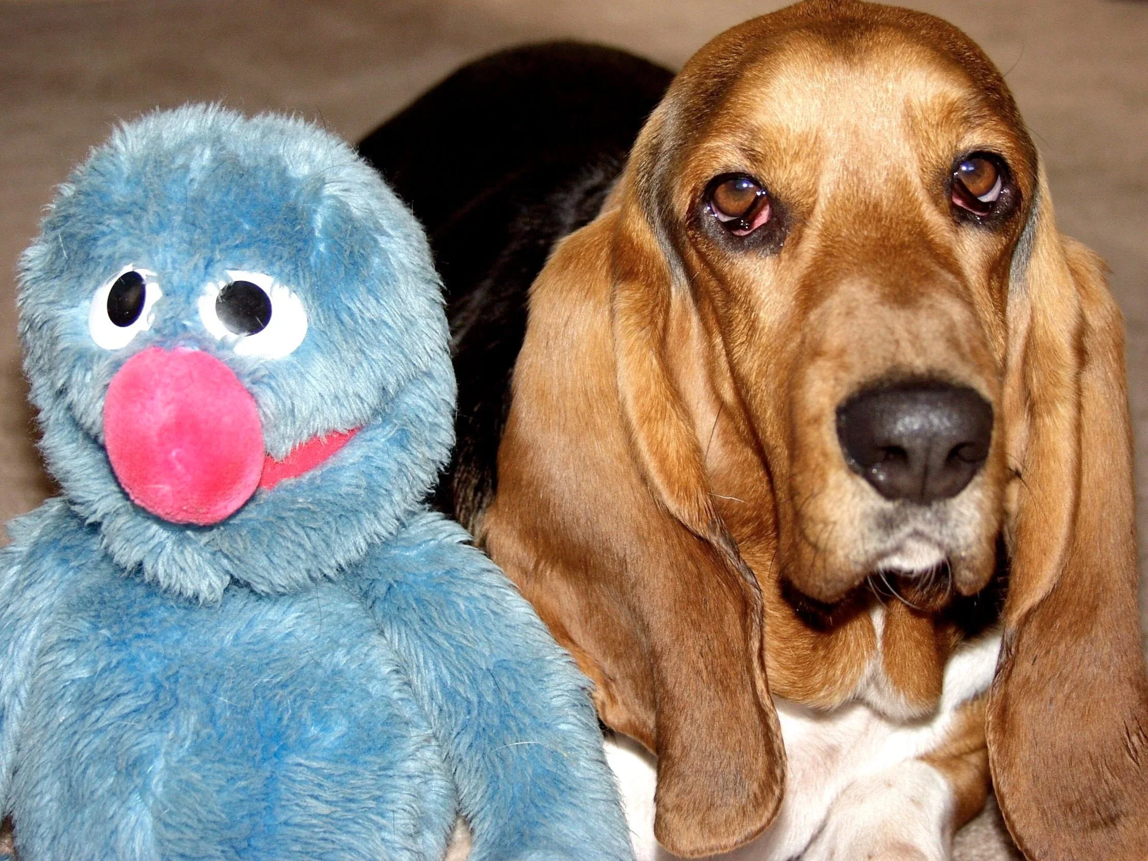 Dudley+and+grover.jpg