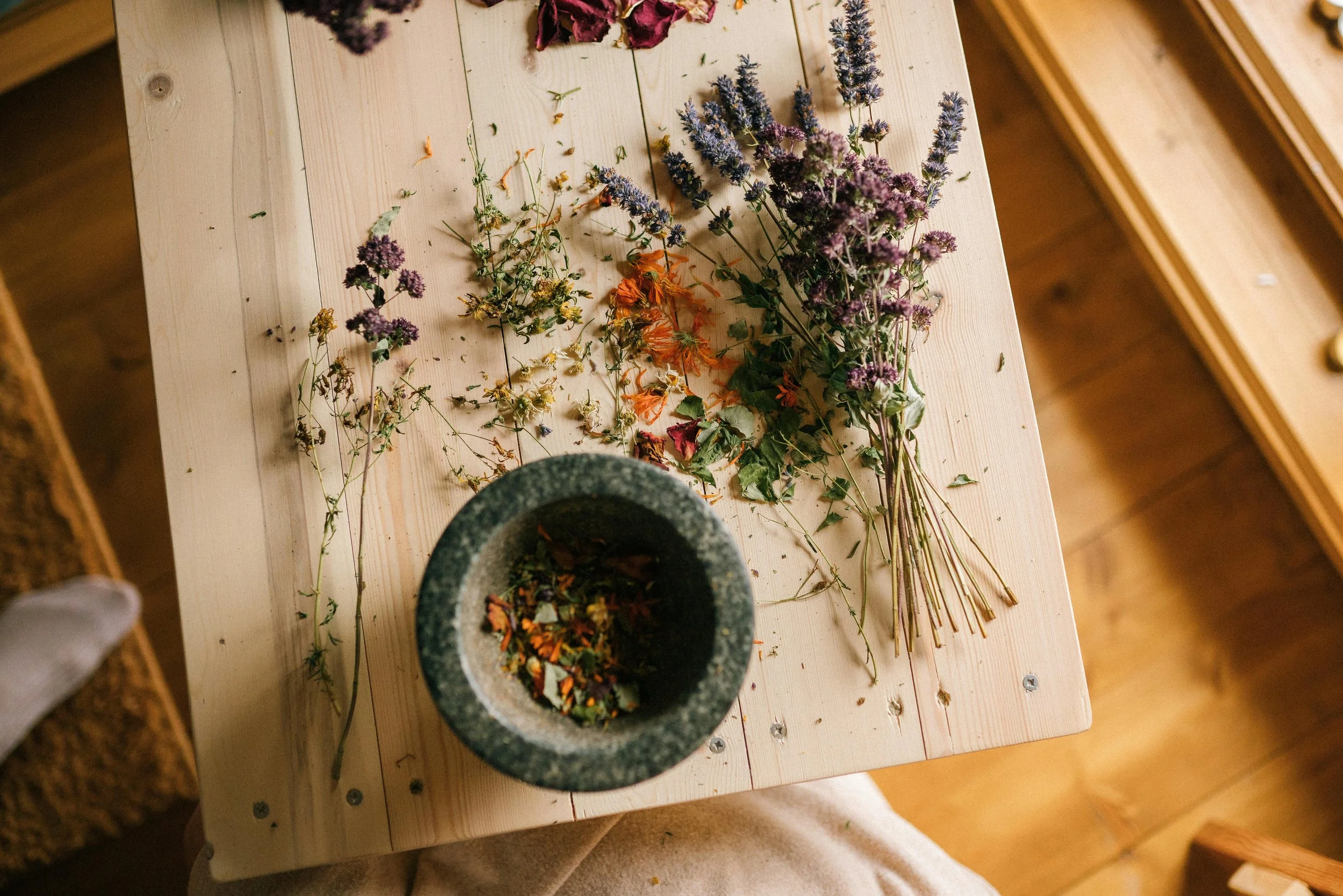 Rendez-vous de suivi en naturopathie à Montréal – ajustement du plan personnalisé et accompagnement bien-être