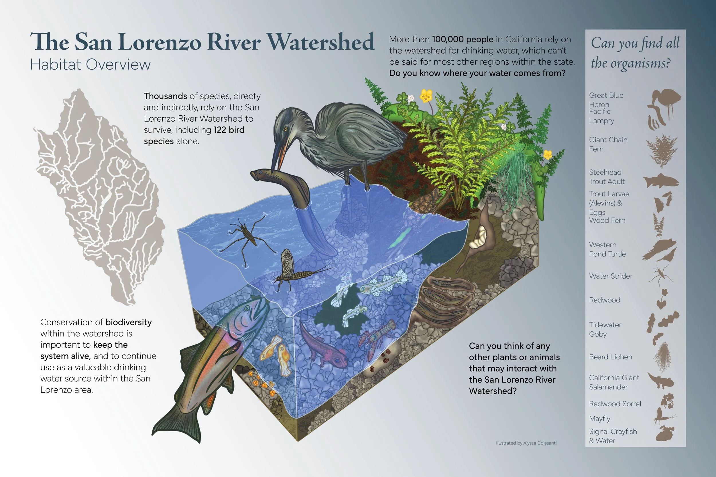 508_E3_AColasanti_Indesign Redesign.jpg