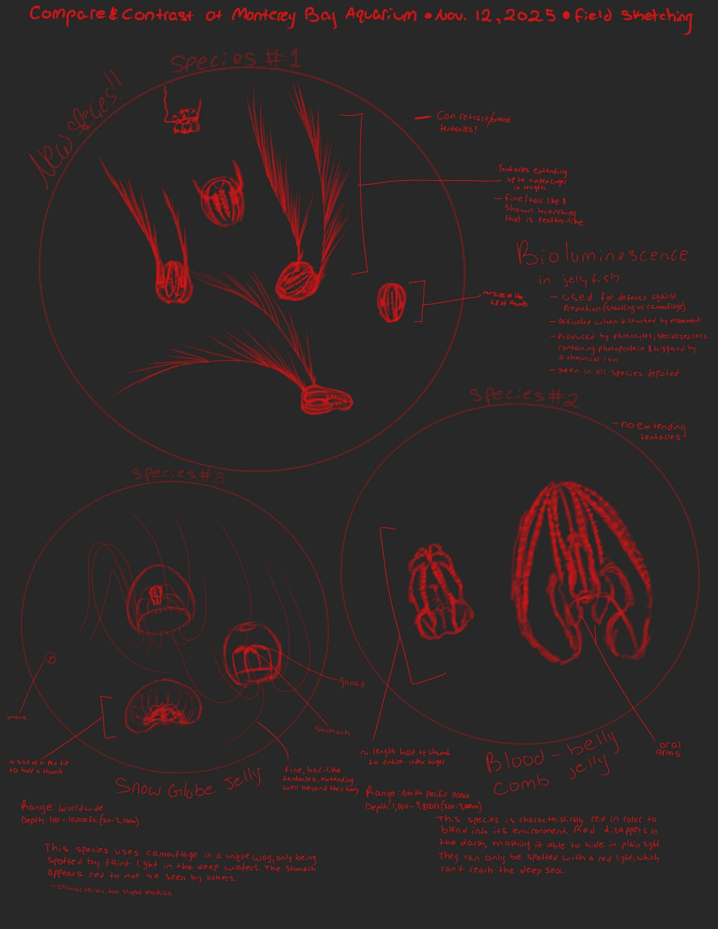 502_A8_Colasanti_Compare and Contrast.jpg