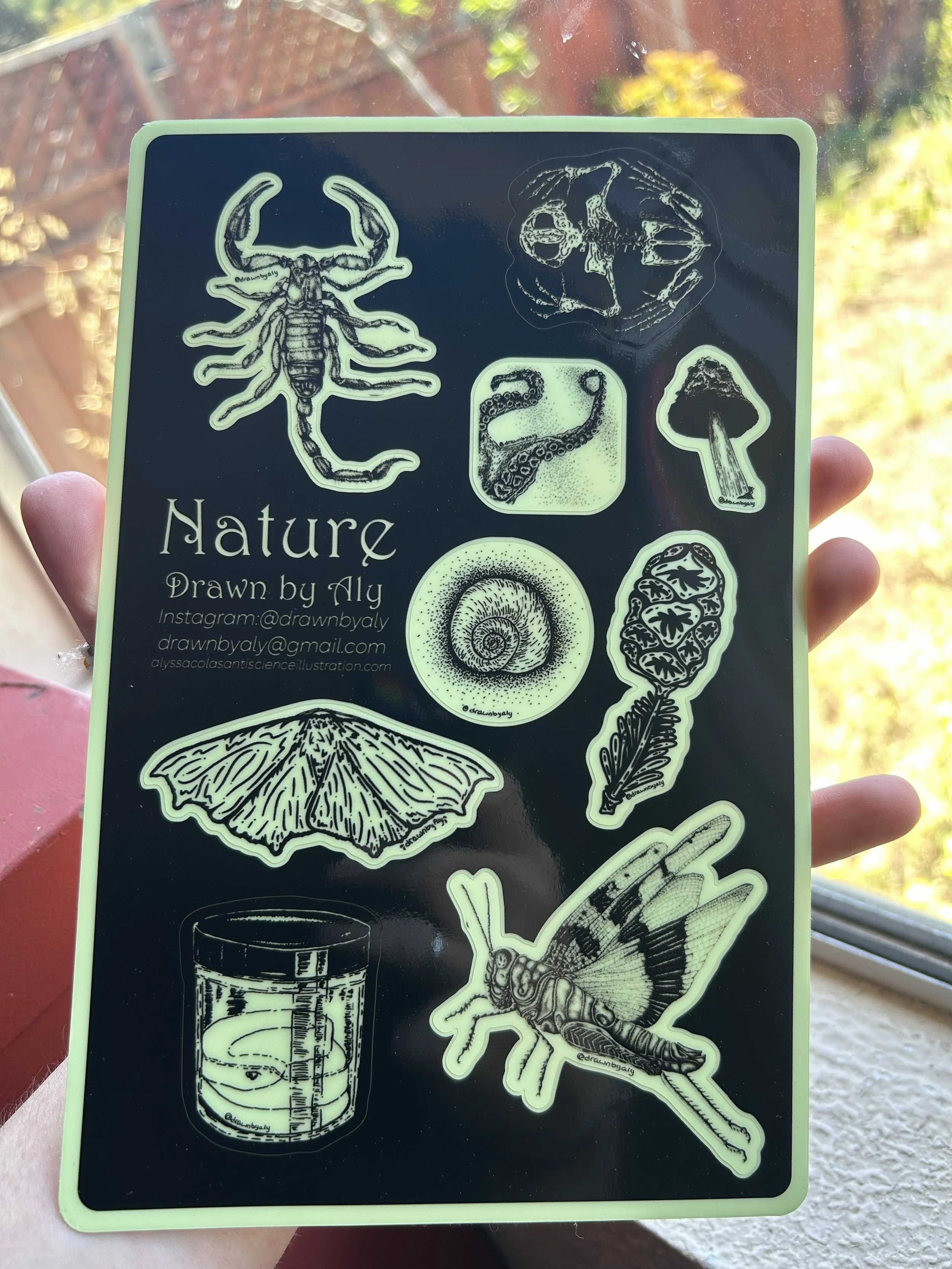 Nature Sticker Sheet