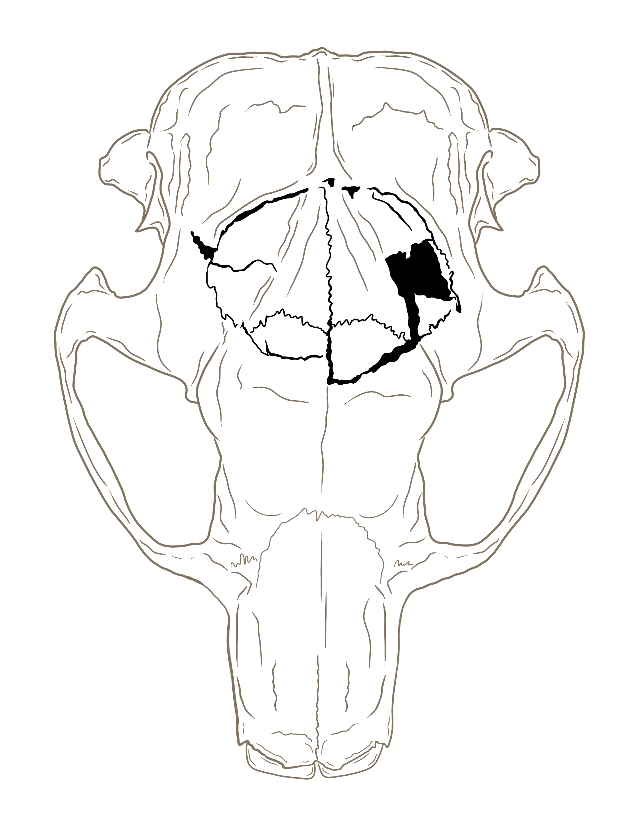 Untitled_Artwork (16).png