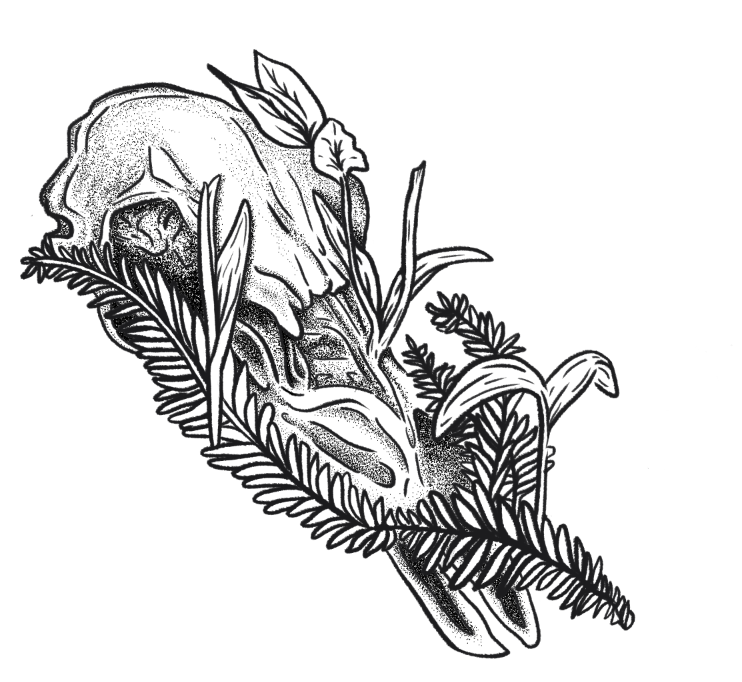 Screenshot 2025-10-30 090243.png