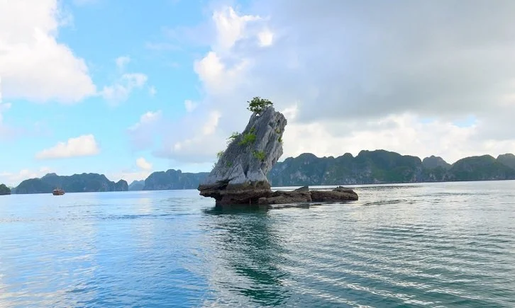 Halong Bay Toad islet.jpg