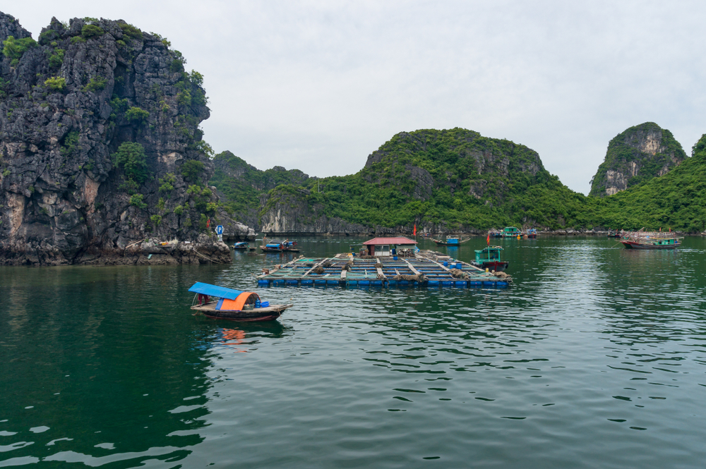 Halong Bay Cua Van Village (2).png