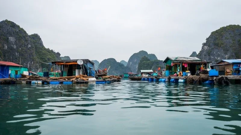 Halong Bay Ba Hang floating village.jpg