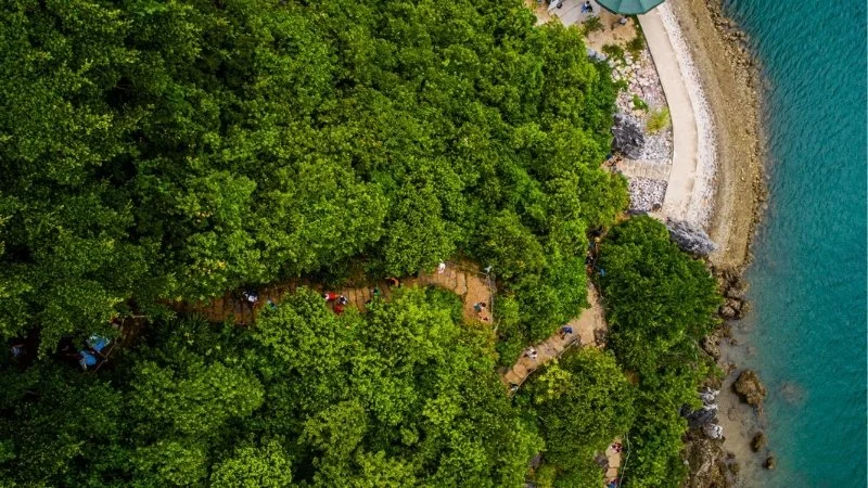 Halong Bay Titop Beach (2).jpg