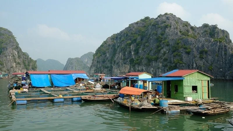 Halong Bay Hoa Cuong Fishing Village.jpg