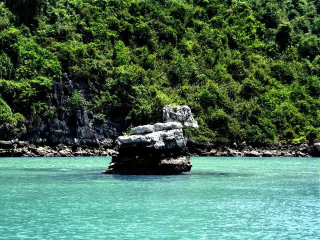 Halong Bay Hon Vit Con.jpg