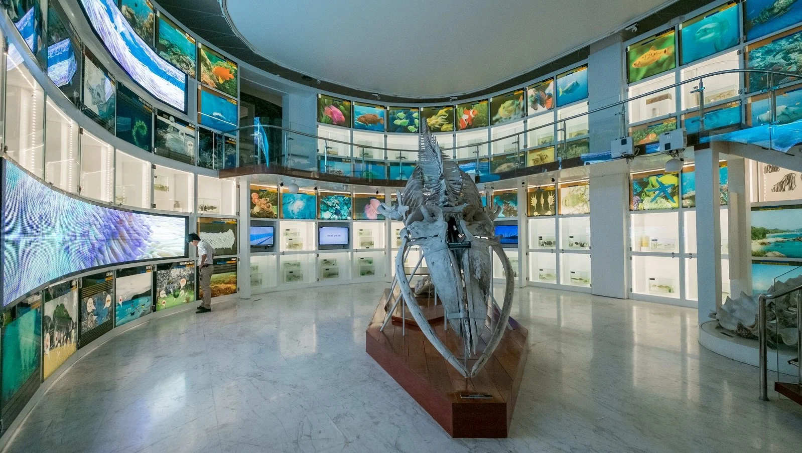 Halong Bay Quang Ninh Museum 2.jpg