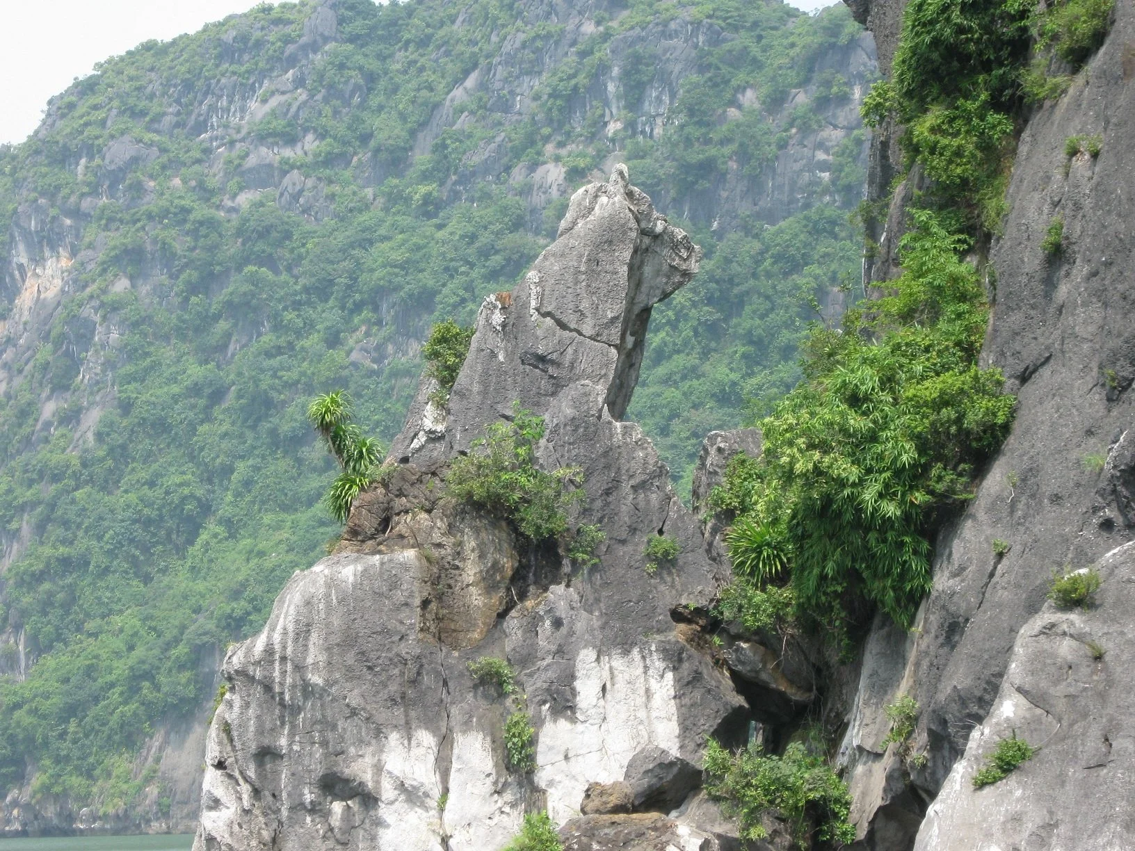 Halong Bay Stone dog island.jpg